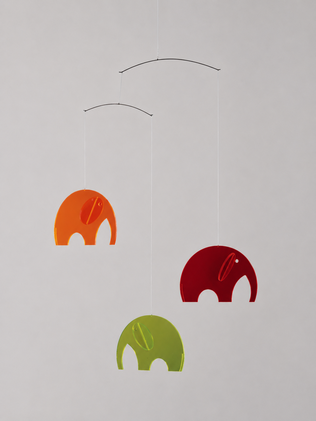 Olephants | Plexi