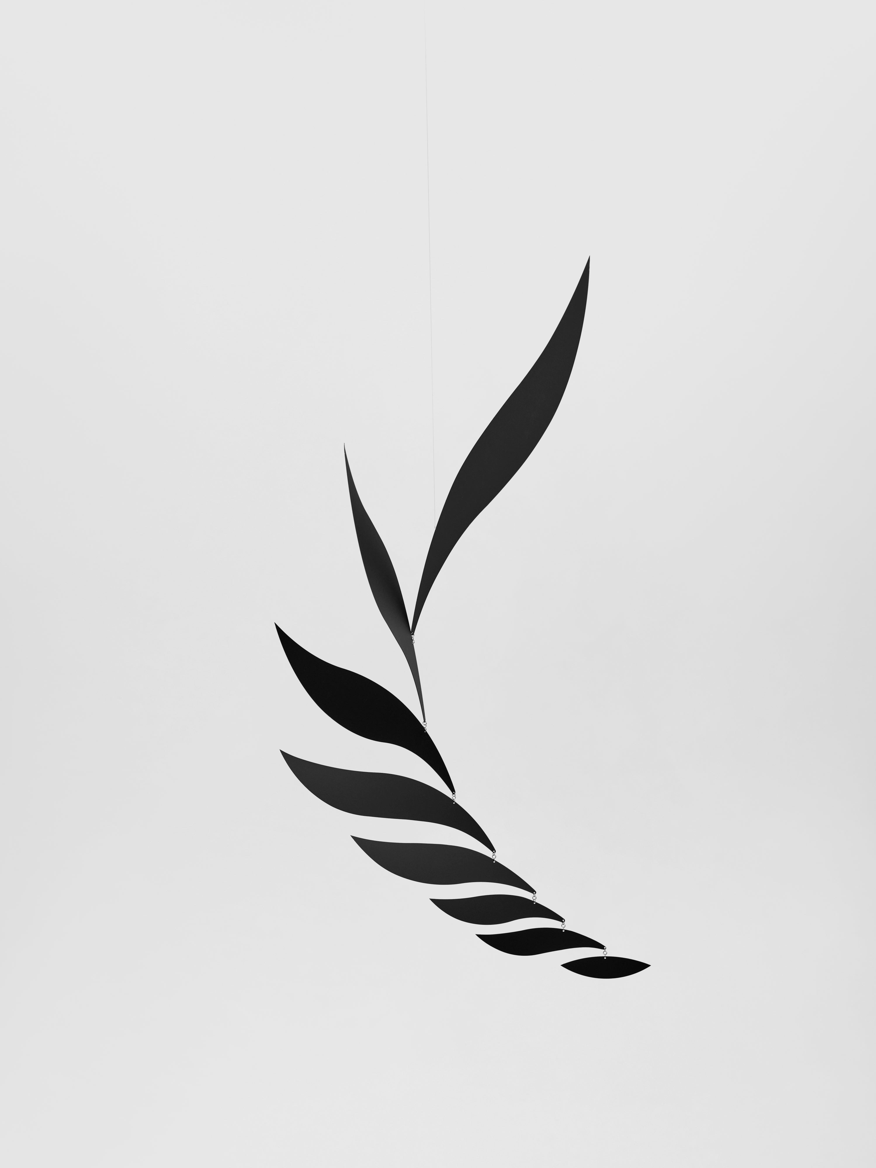 Black Rhythm | Size M