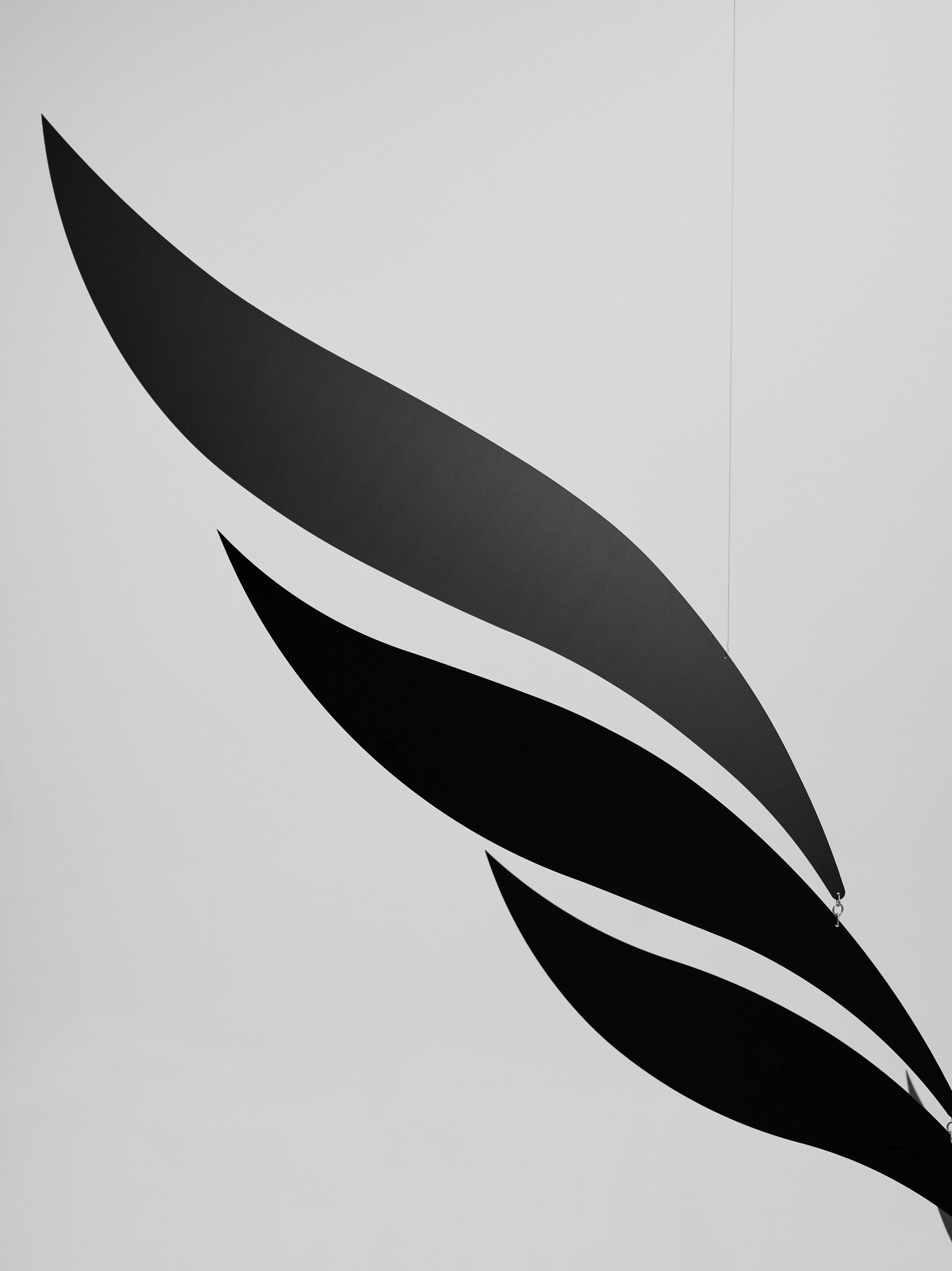 Black Rhythm | Size L