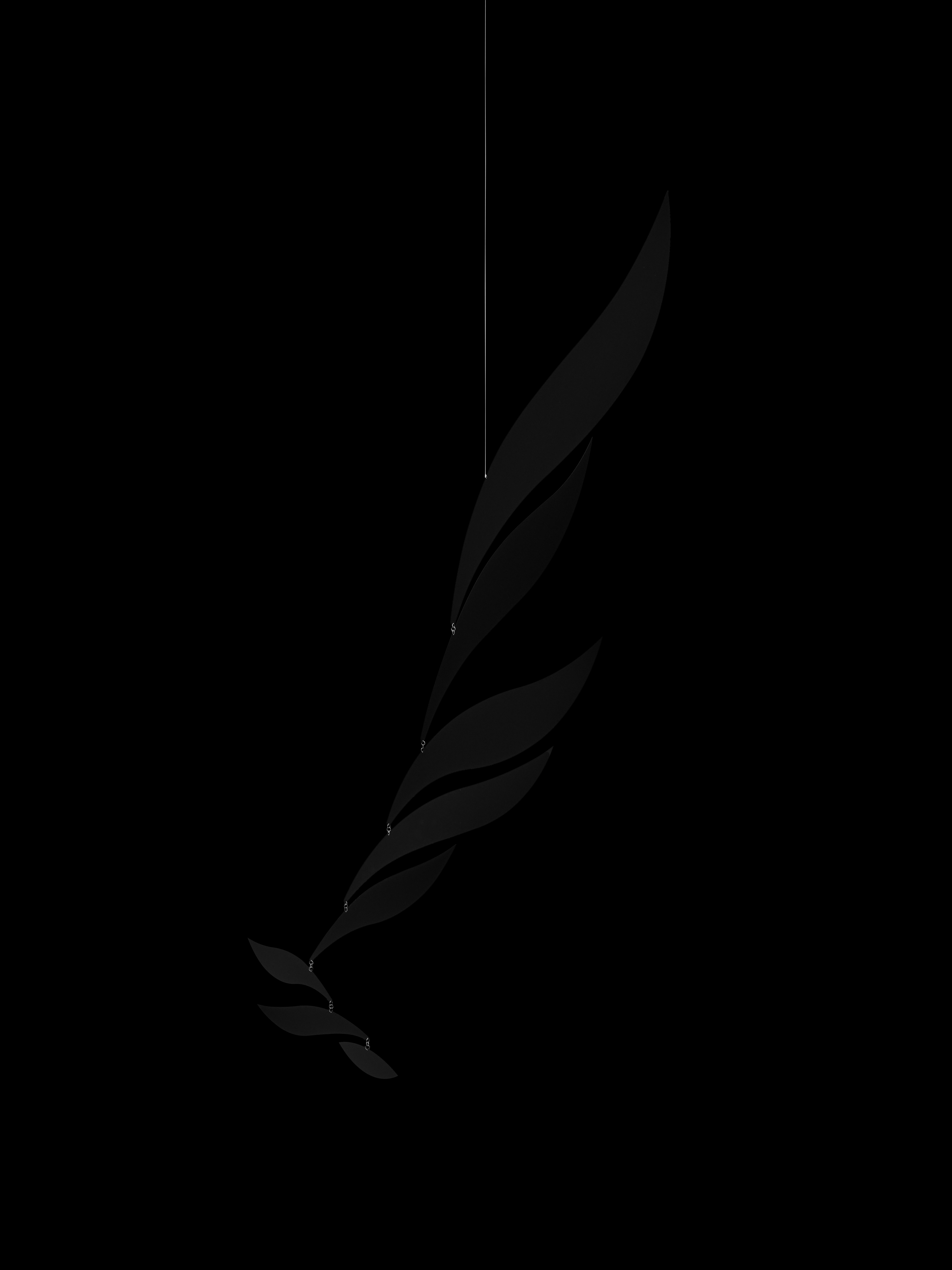 Black Rhythm | Size XL