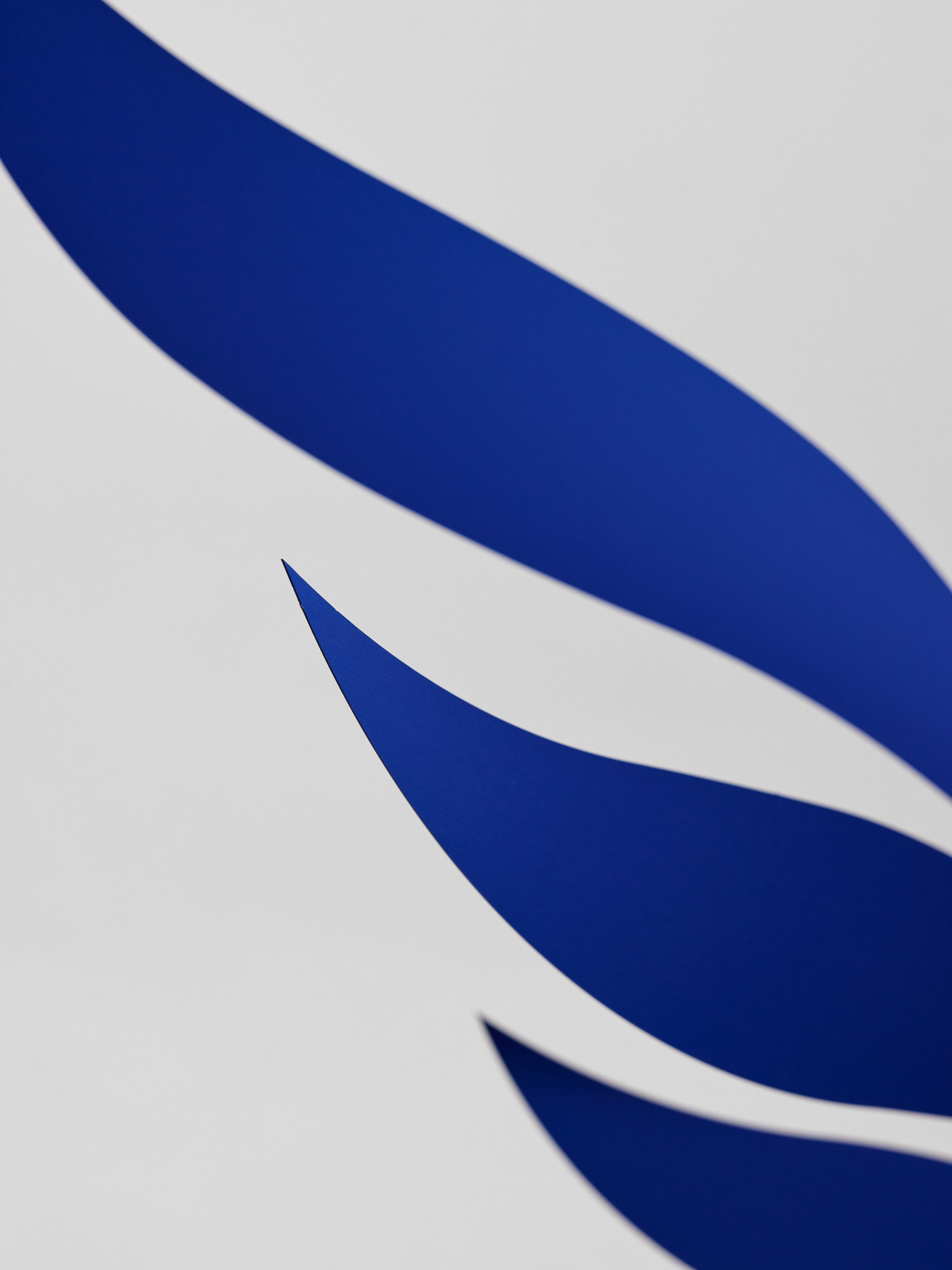 Blue Rhythm | Size M