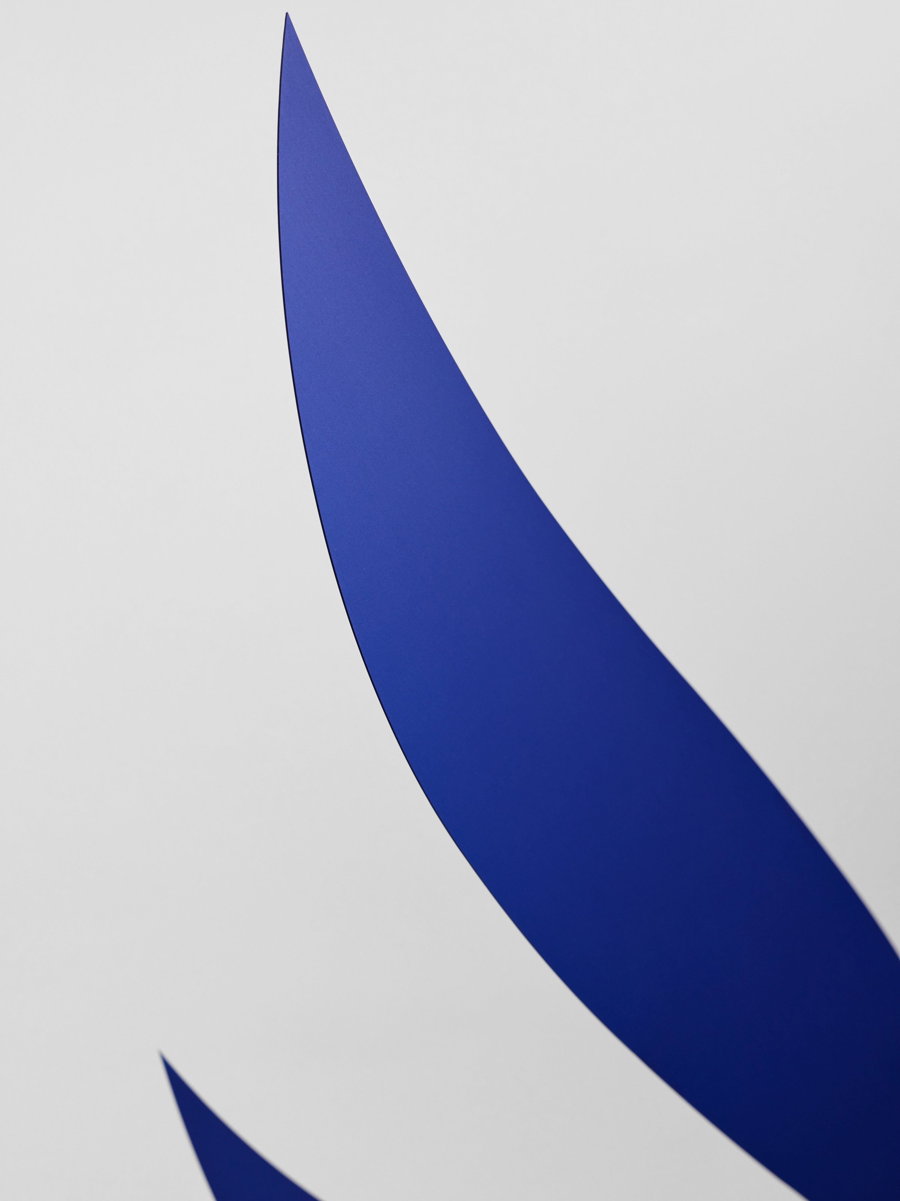 Blue Rhythm | Size L