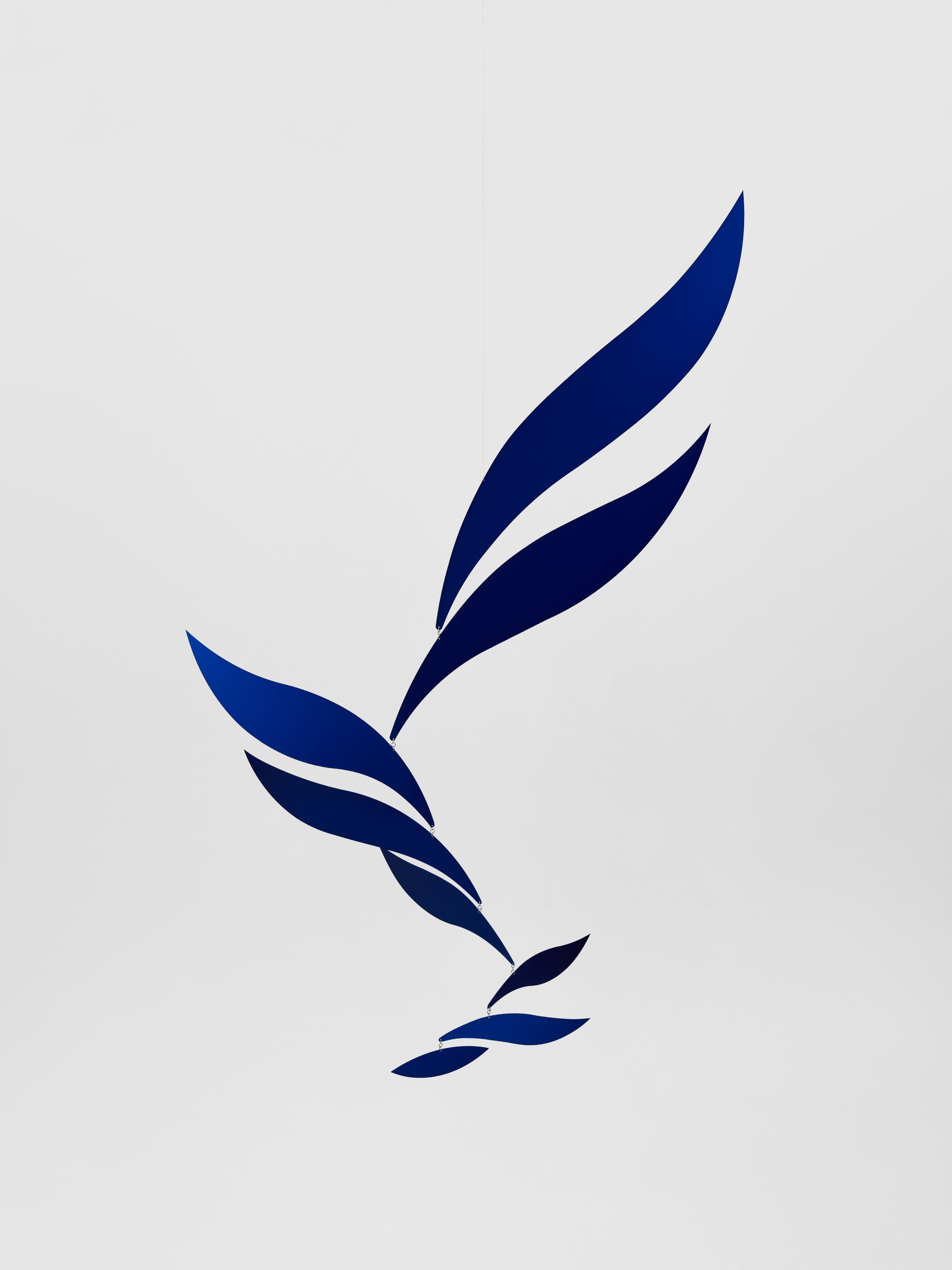 Blue Rhythm | Size XL