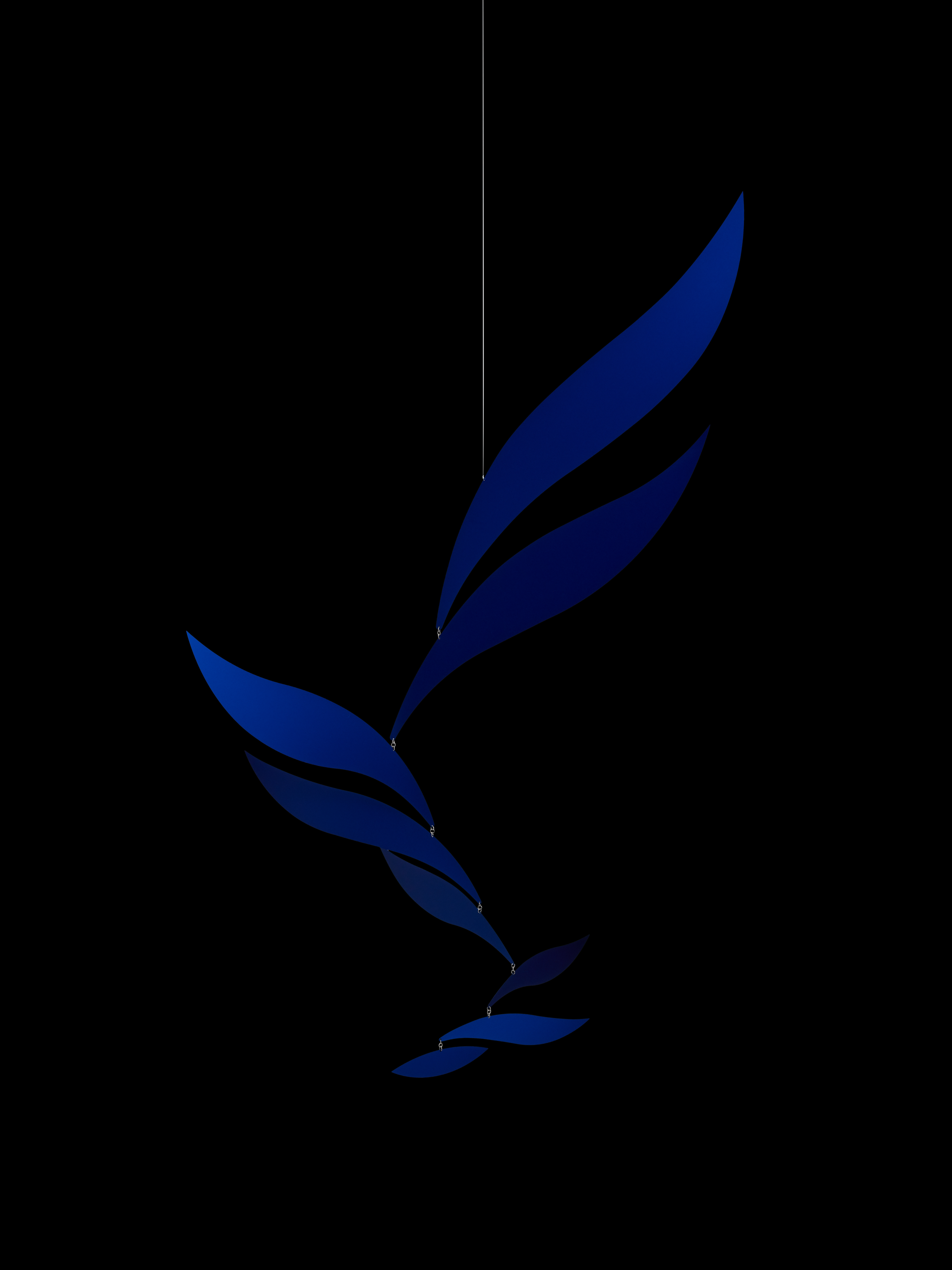 Blue Rhythm | Size XL