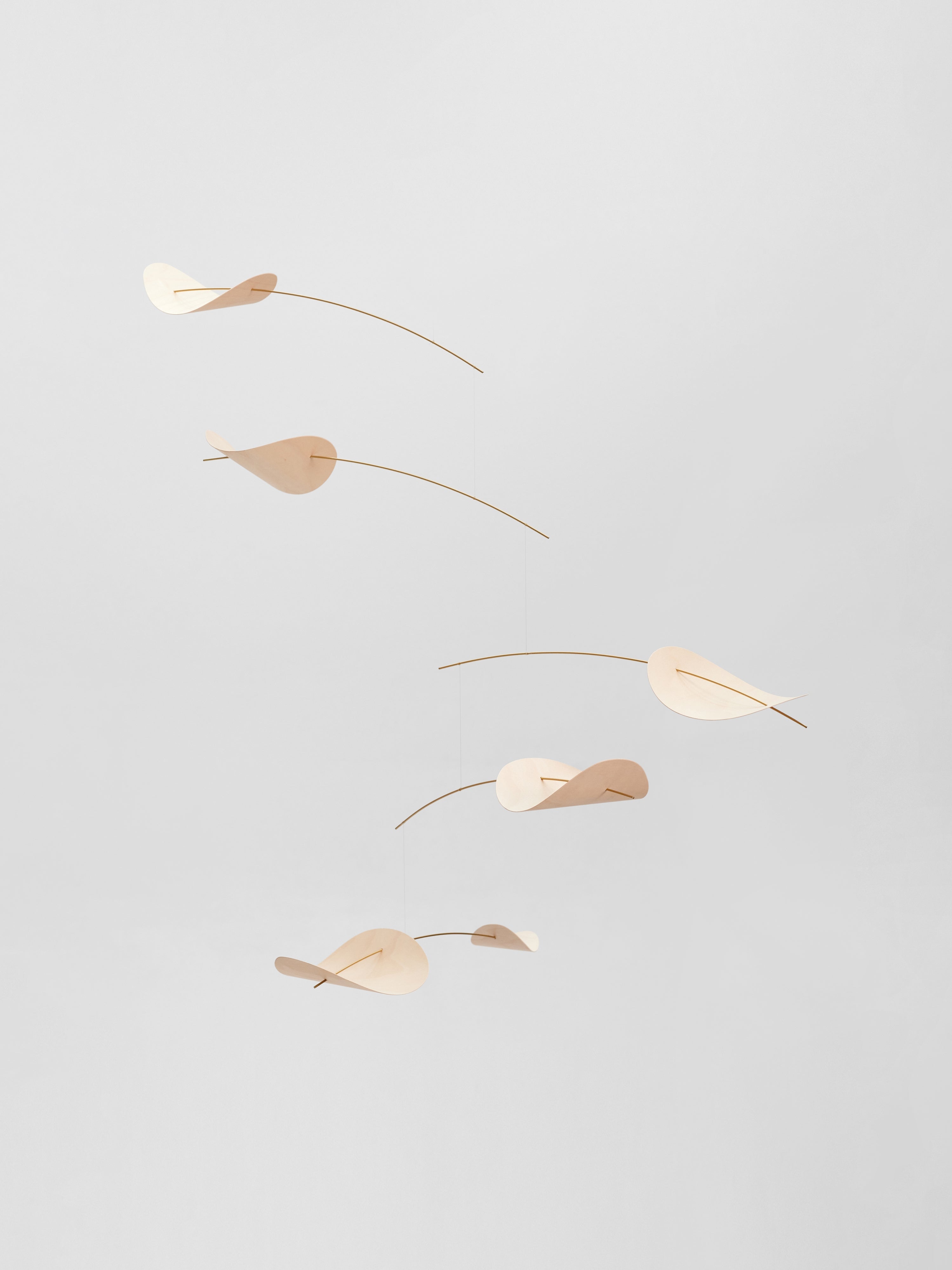 Drifting Clouds | Nature | Size L