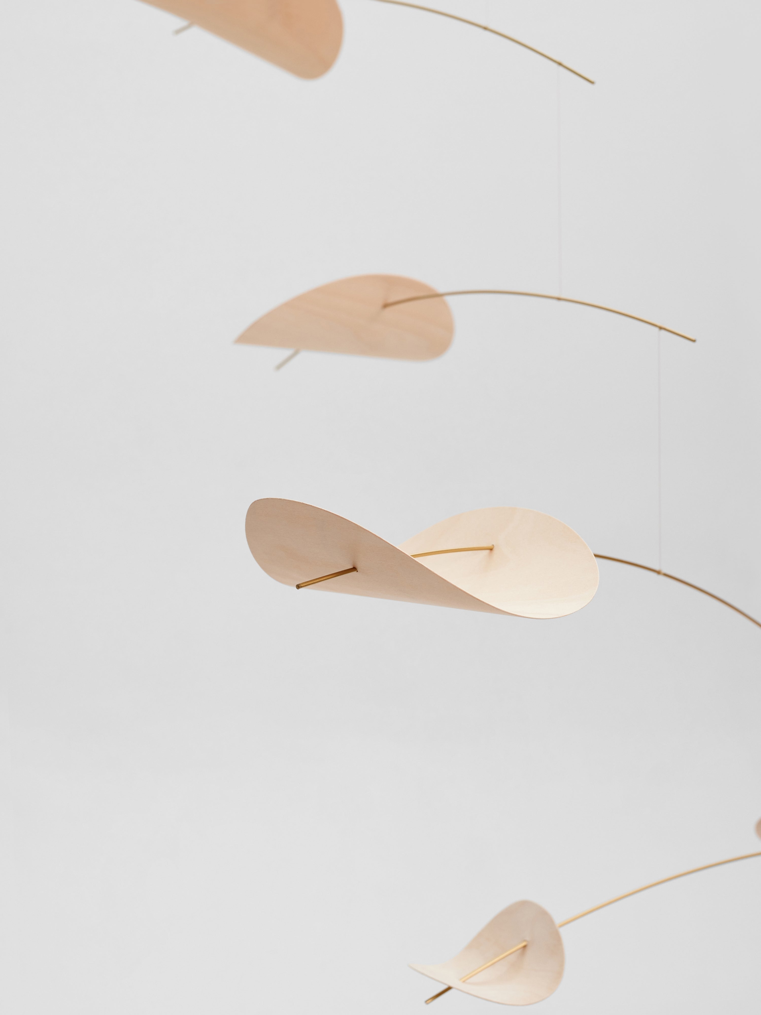 Drifting Clouds | Nature | Size L