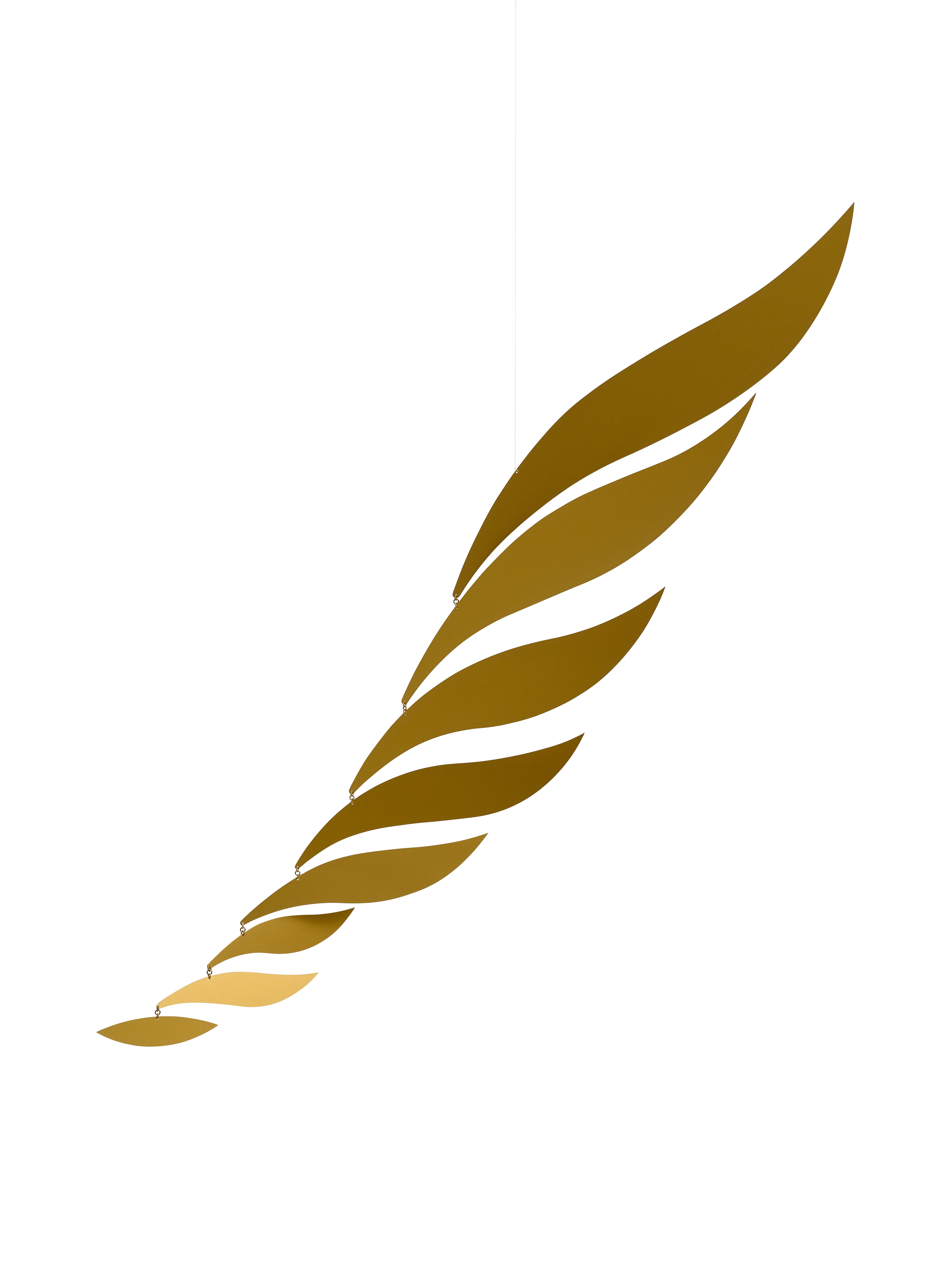 Golden Rhythm | Size M