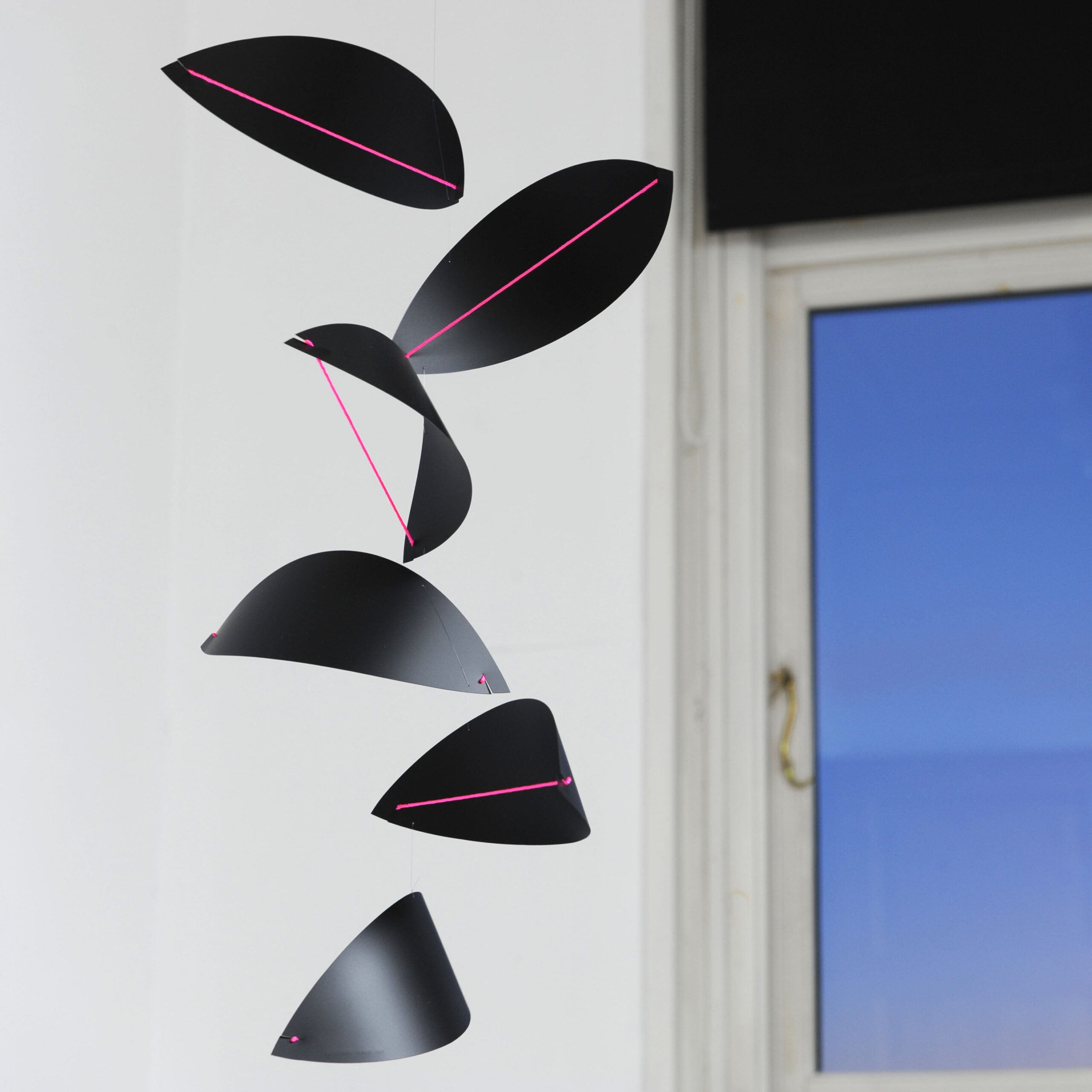Kites | Black