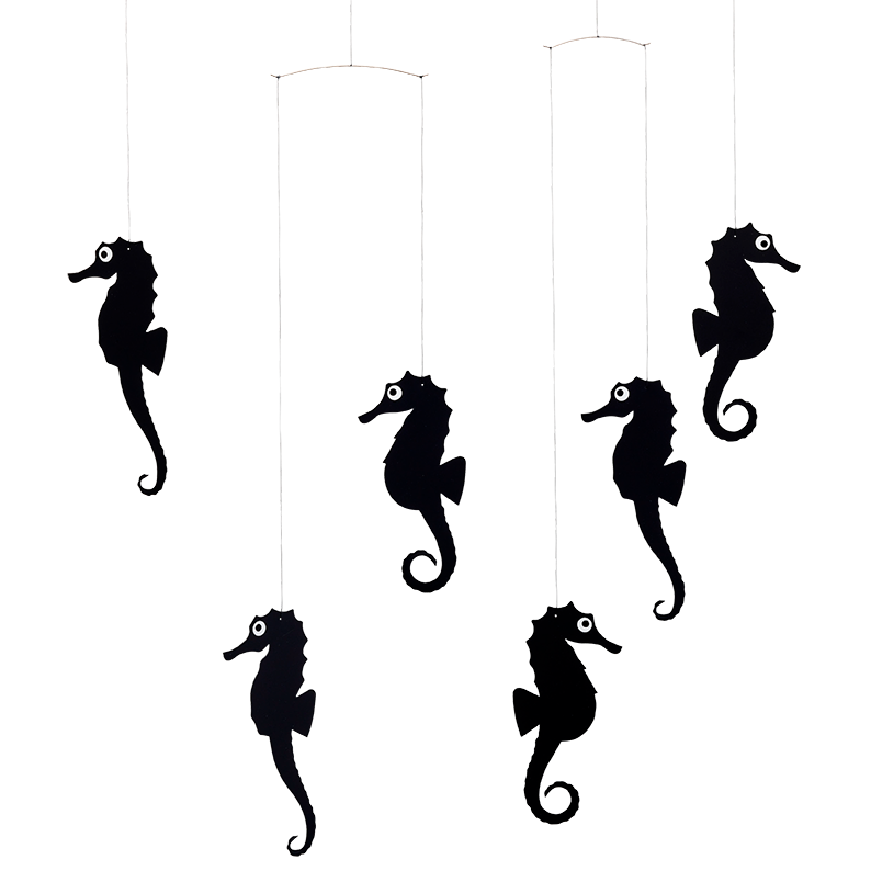 Sea Horse | Black