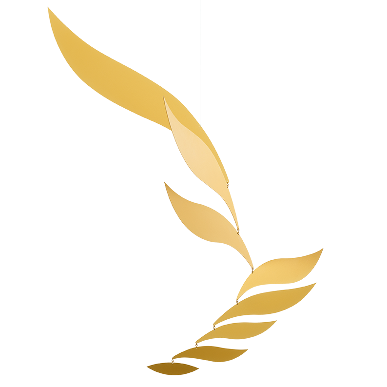 Golden Rhythm | Size XL