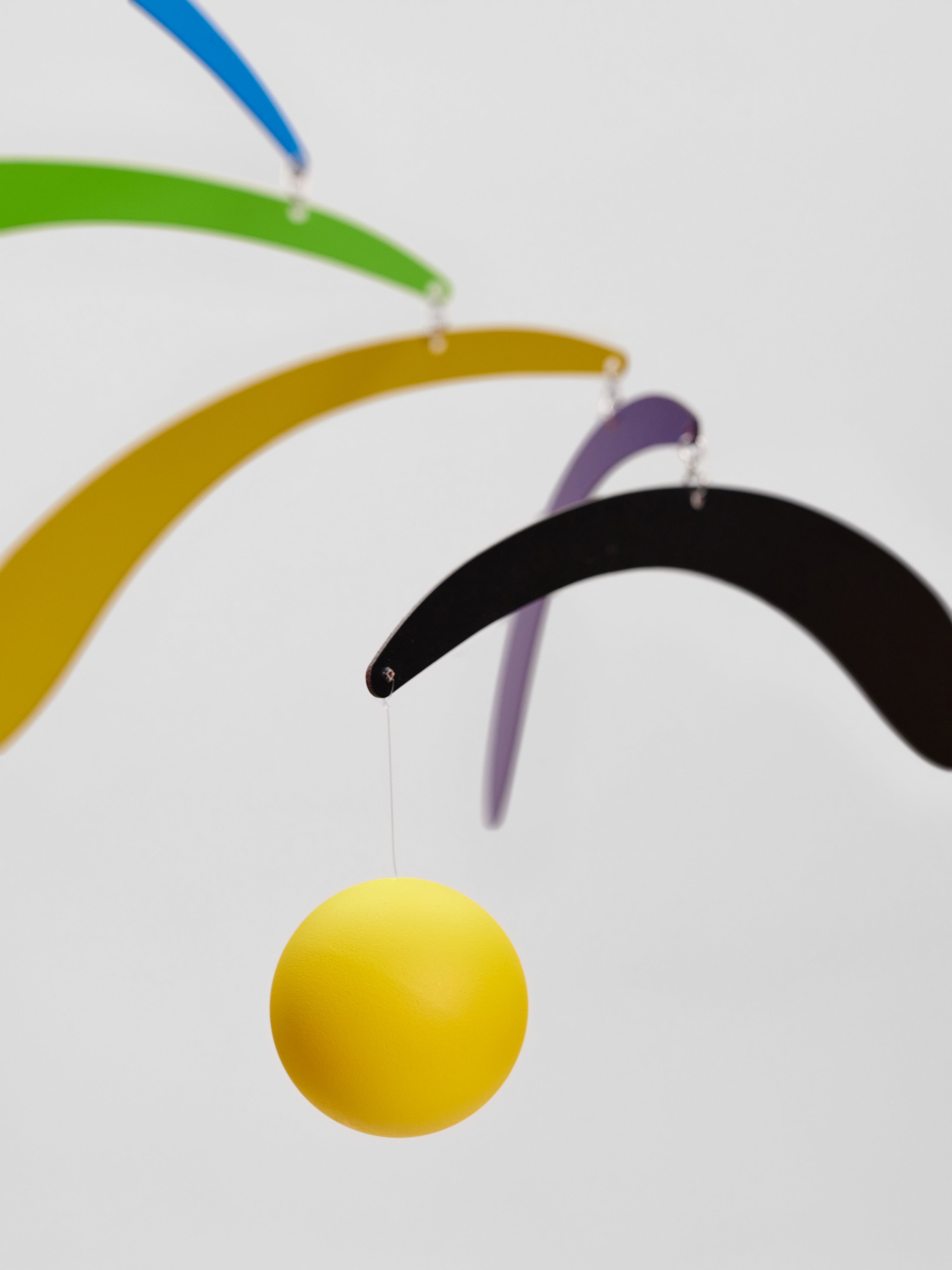 Flowing Rhythm | Rainbow & Black