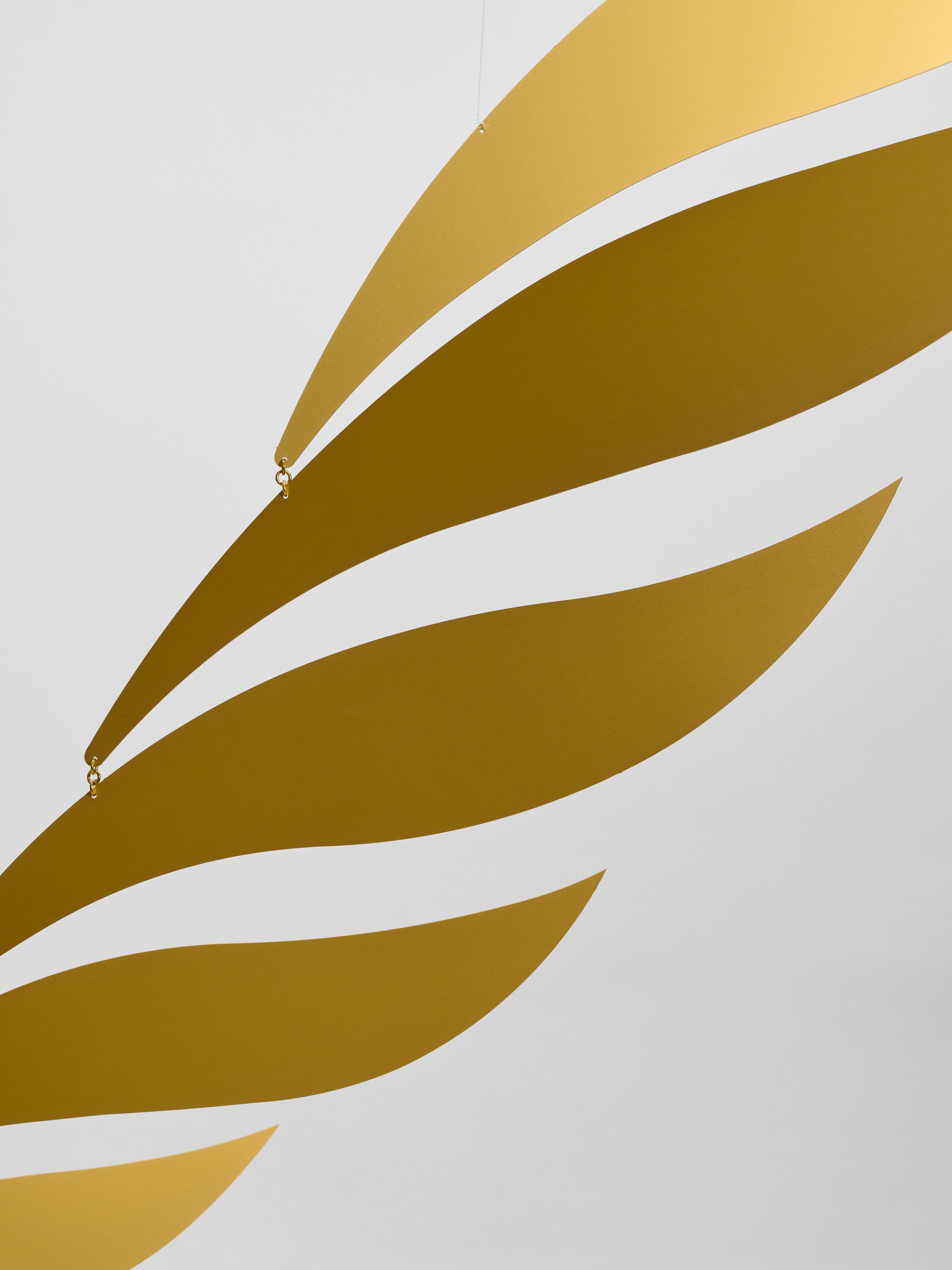 Golden Rhythm | Size M