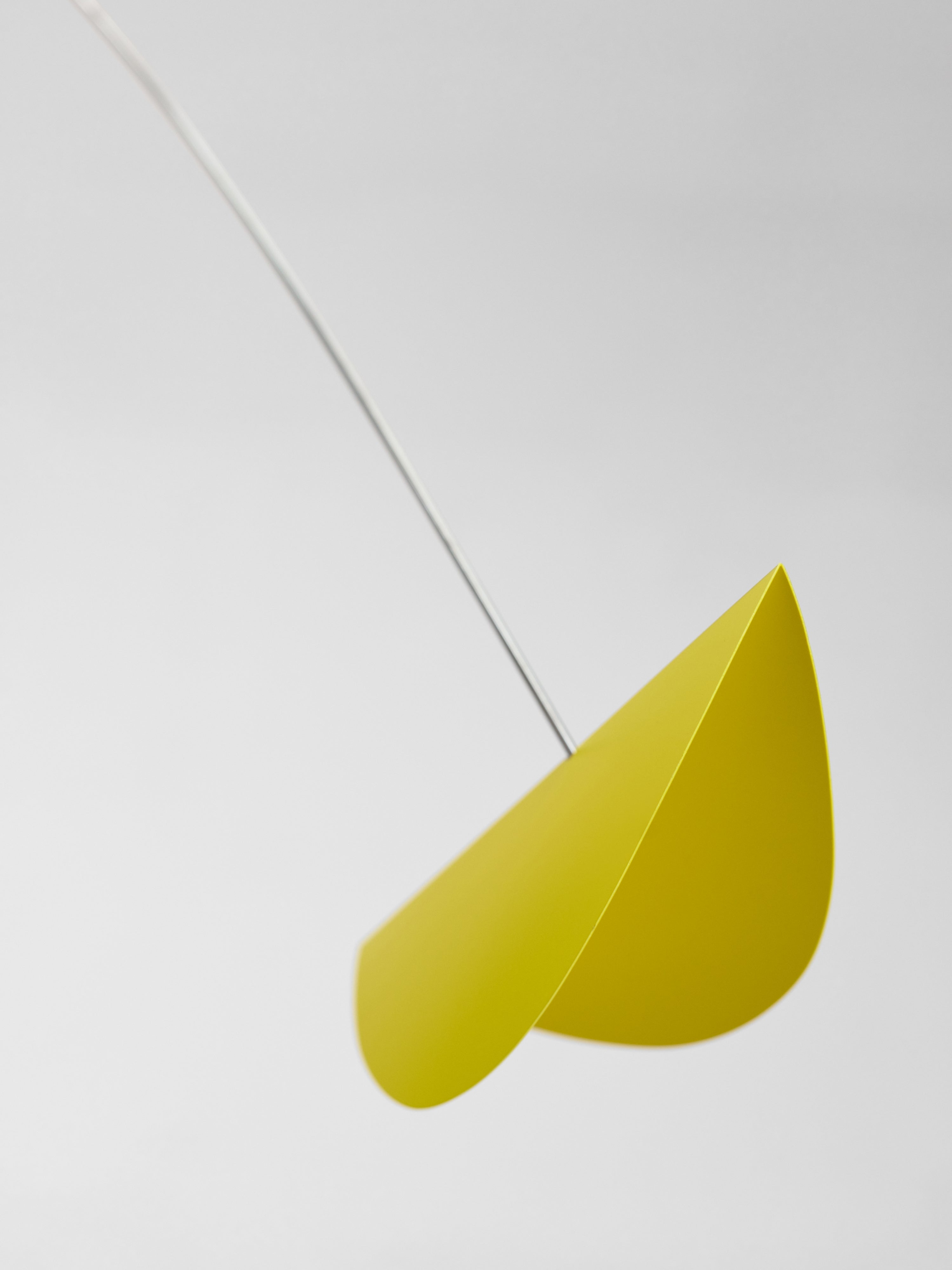 Life & Thread | Colourful | Size XL