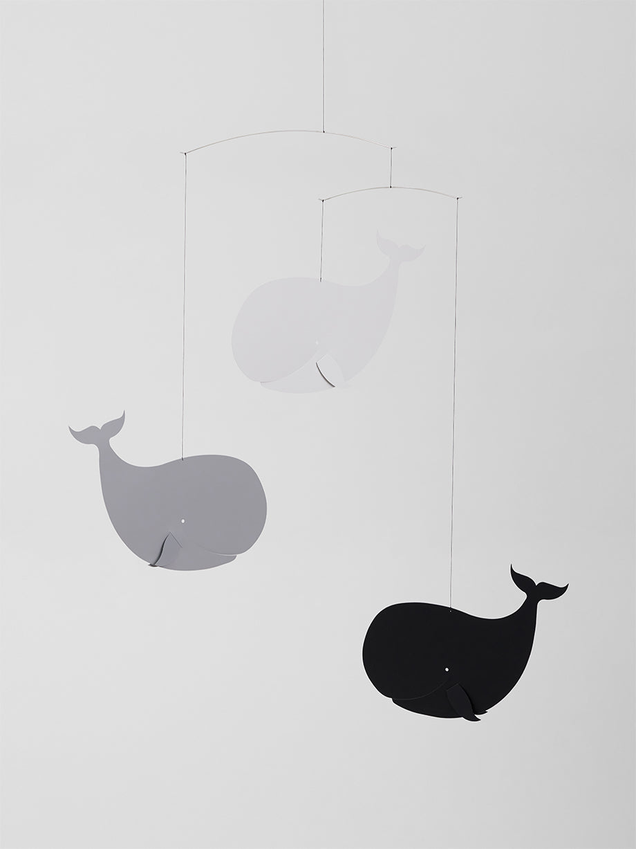 Happy Whales | Greyscale