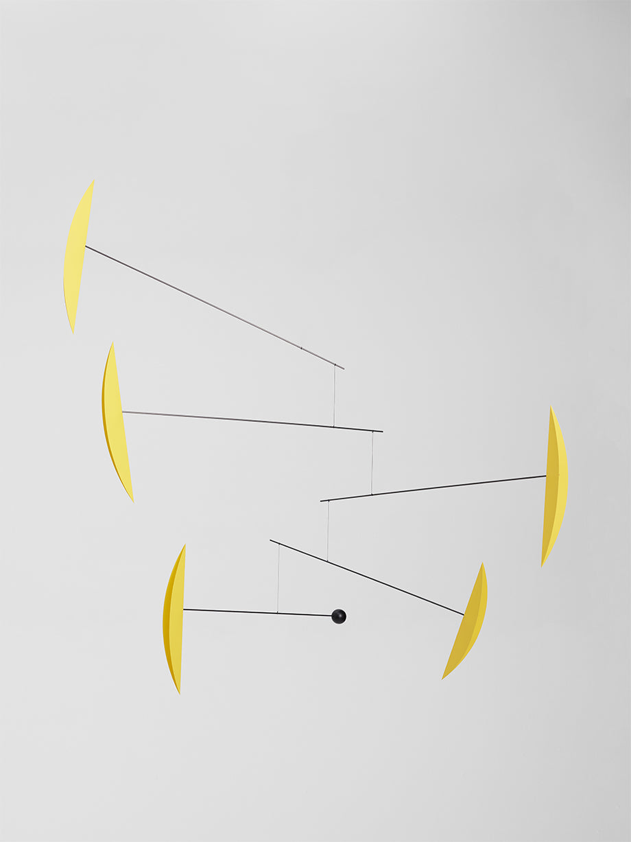 Tango | Yellow | Size L.