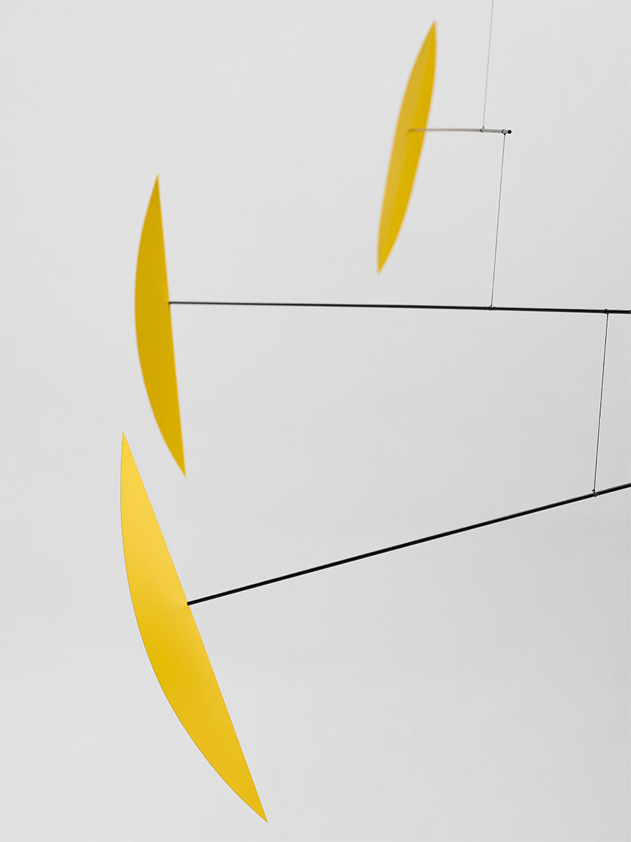 Tango | Yellow | Size L.