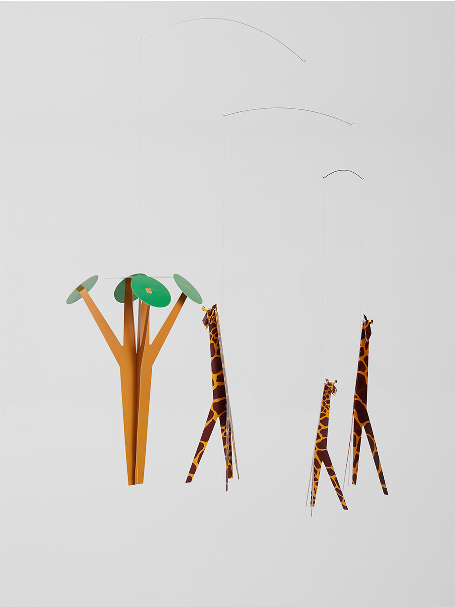 Giraffes on the Savannah