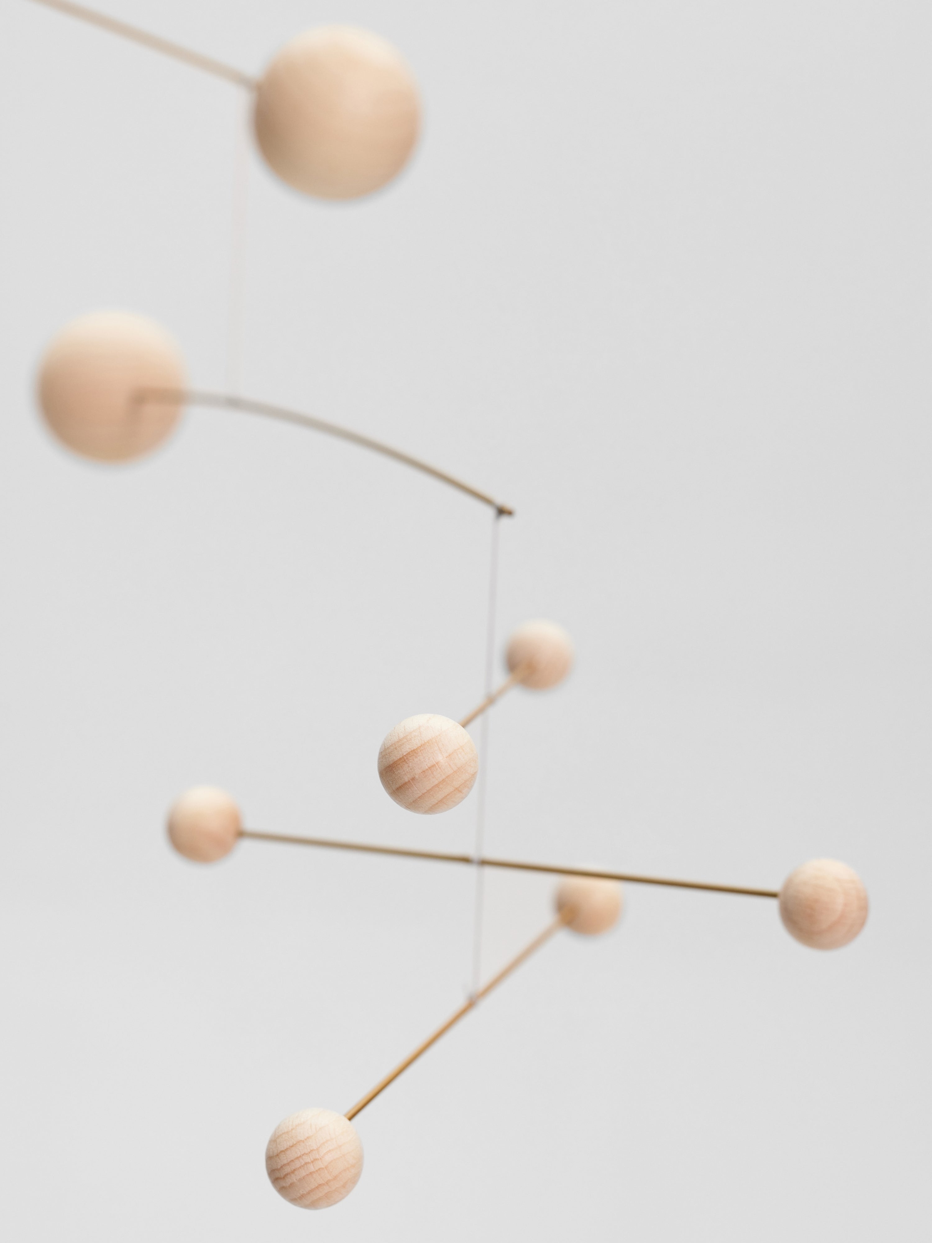 Symphony | Nature | Size M.