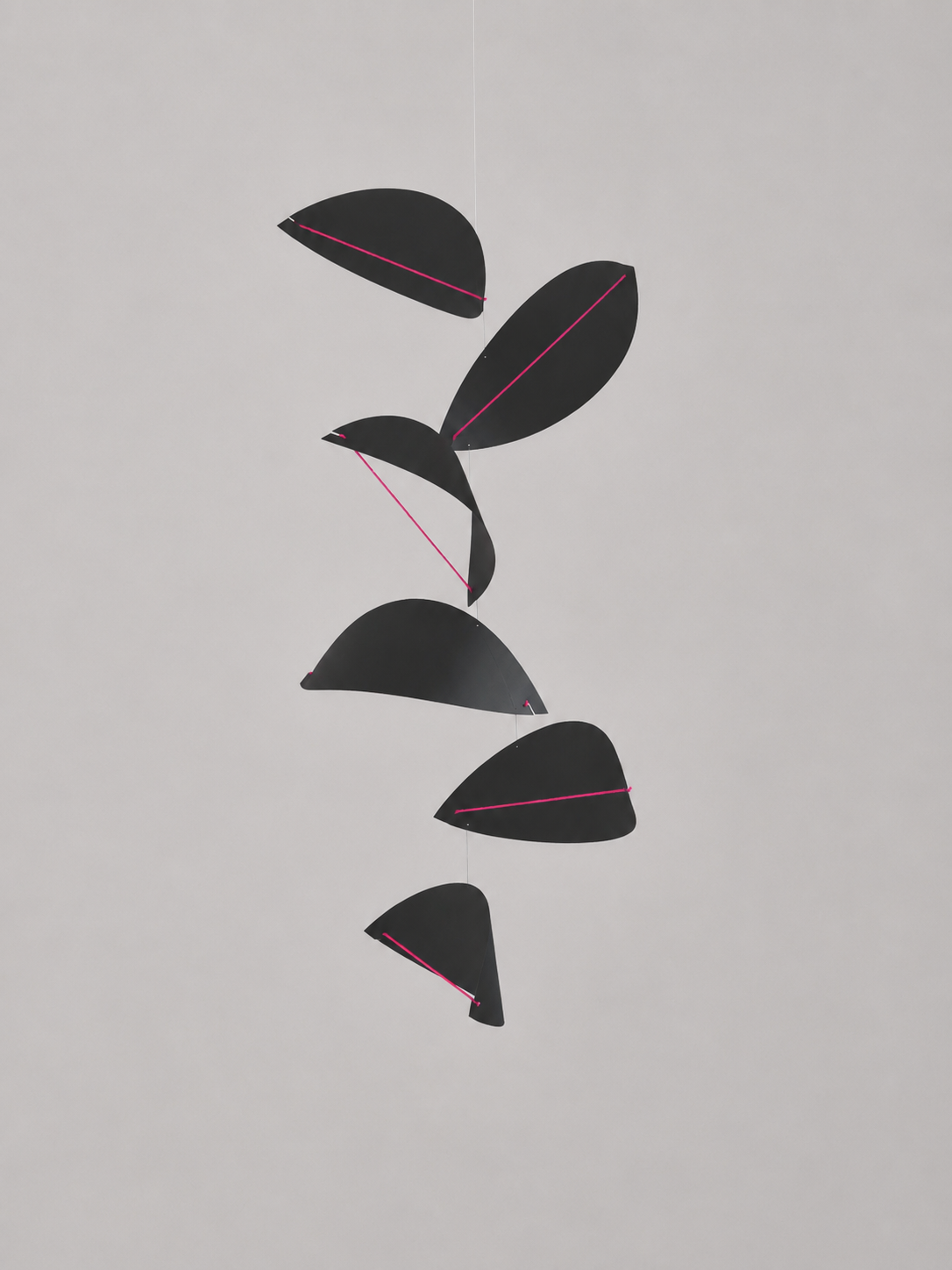 Kites | Black