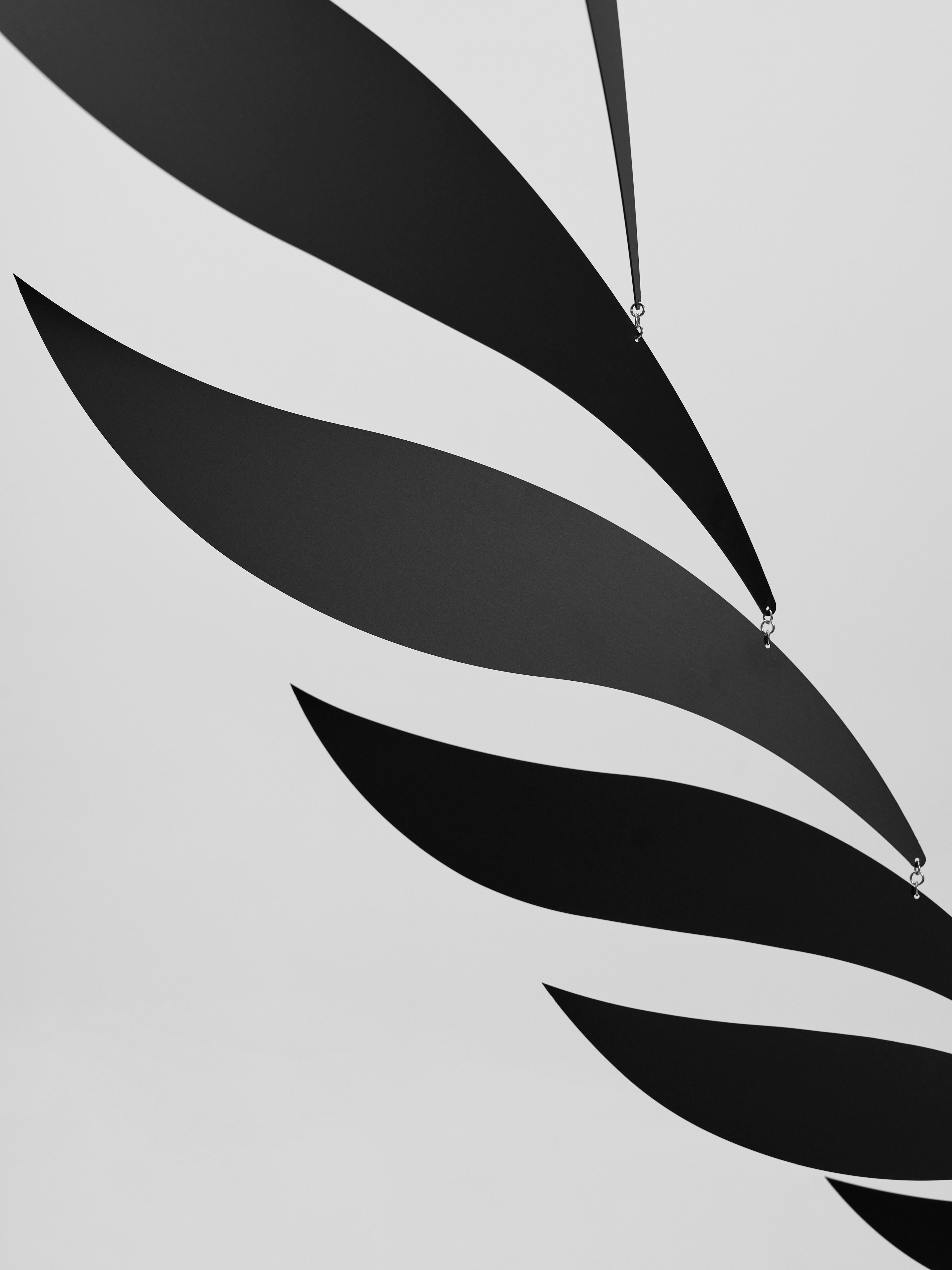 Black Rhythm | Size M