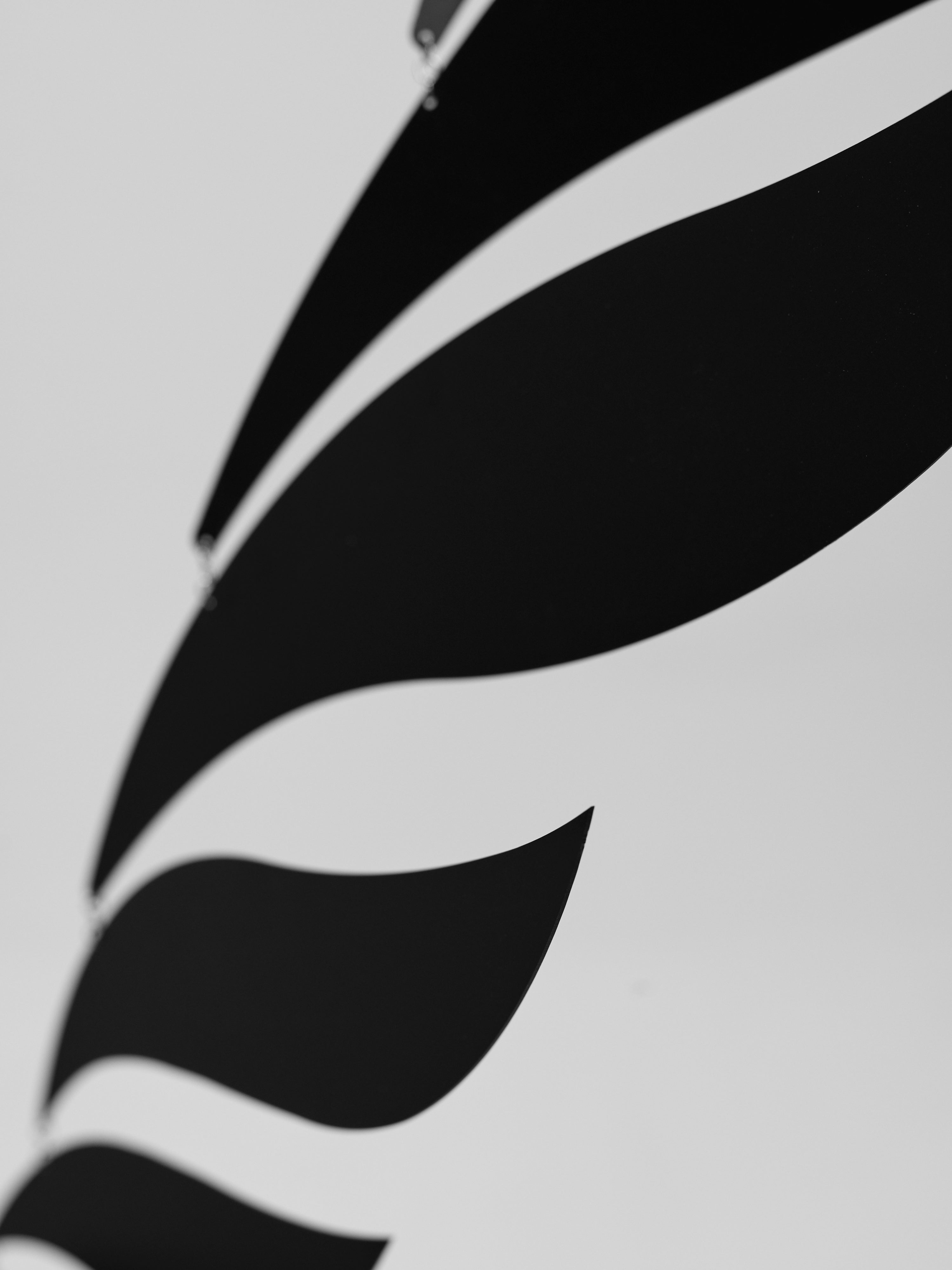 Black Rhythm | Size M