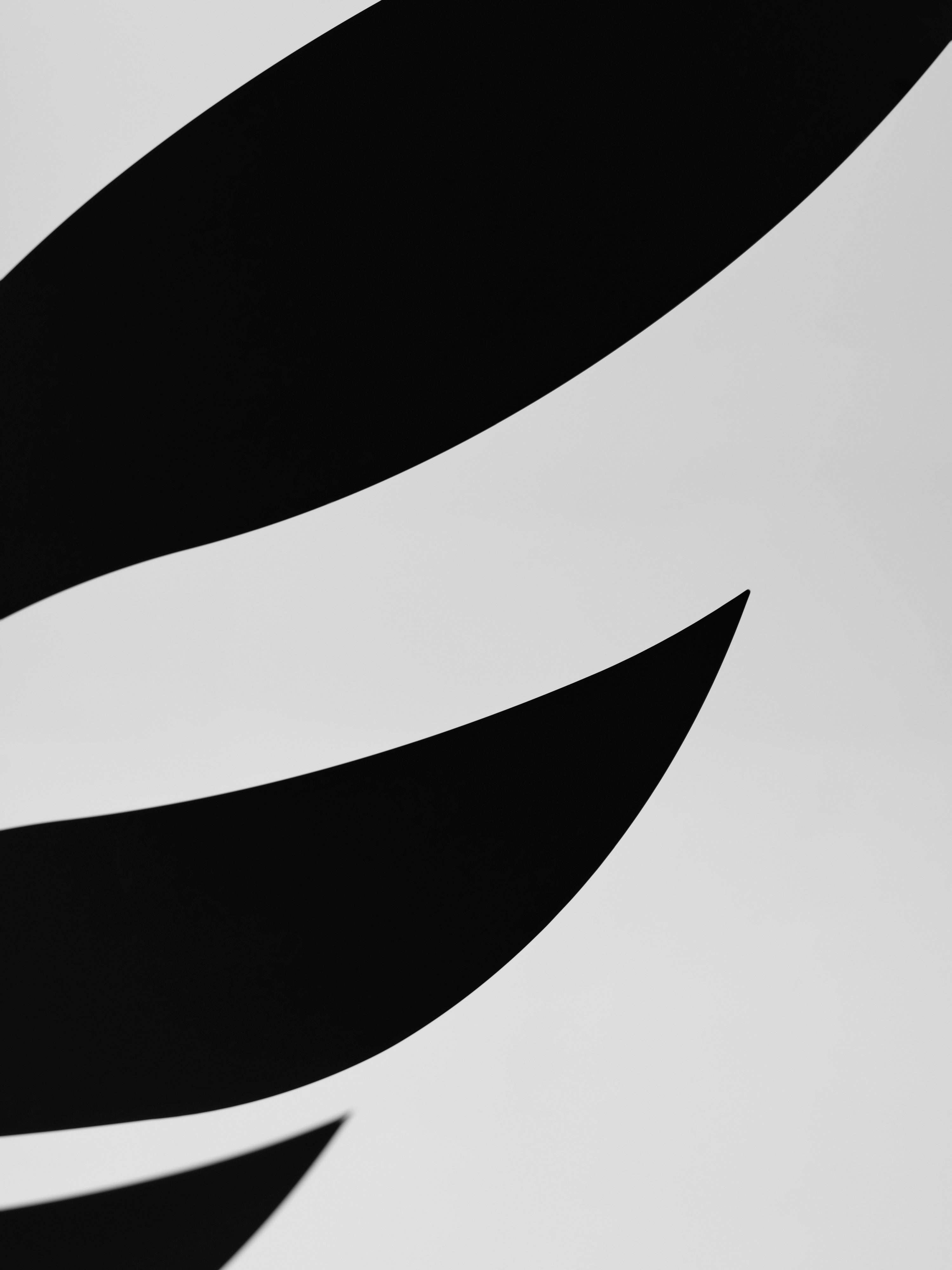 Black Rhythm | Size XL