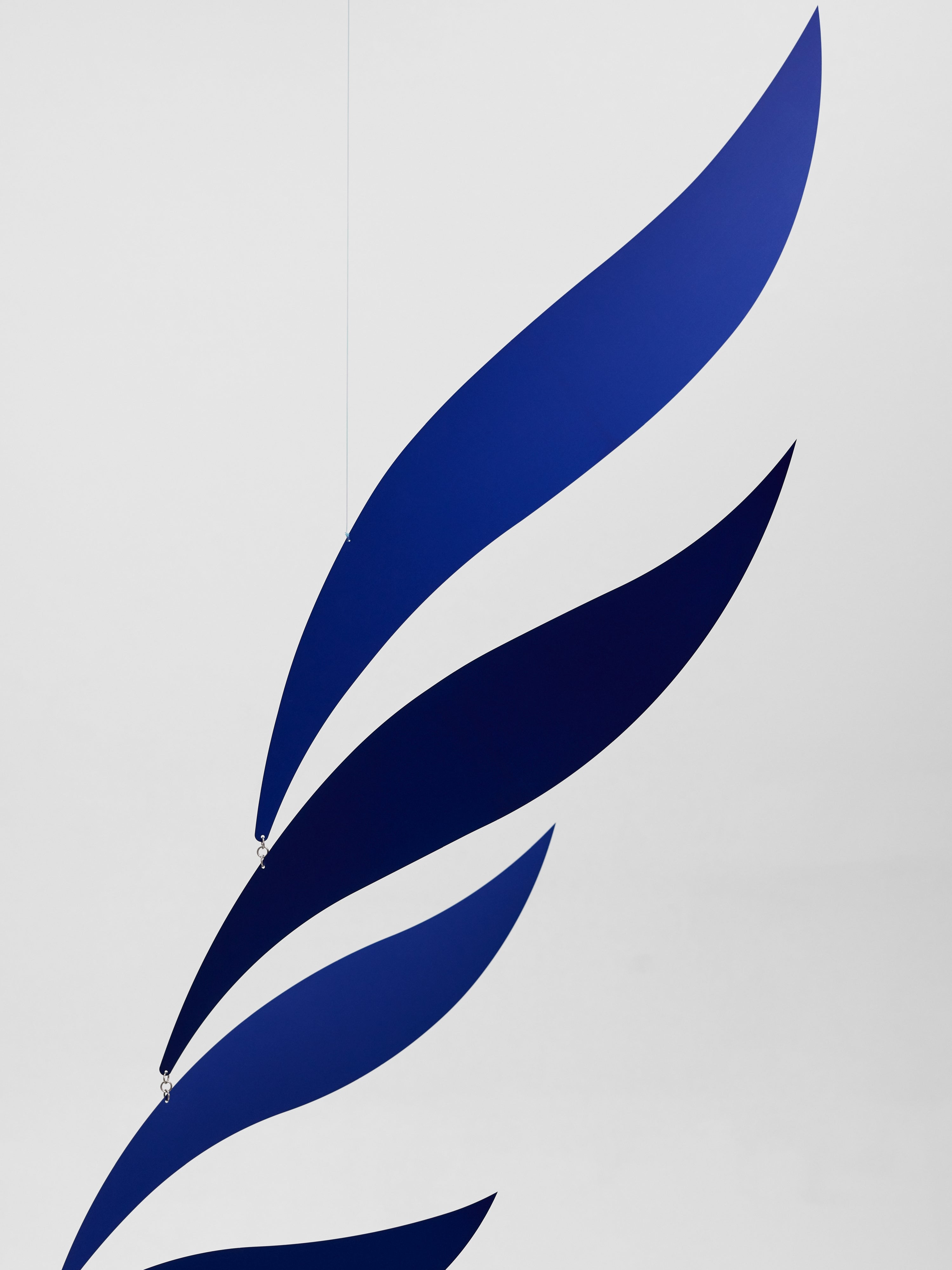 Blue Rhythm | Size L