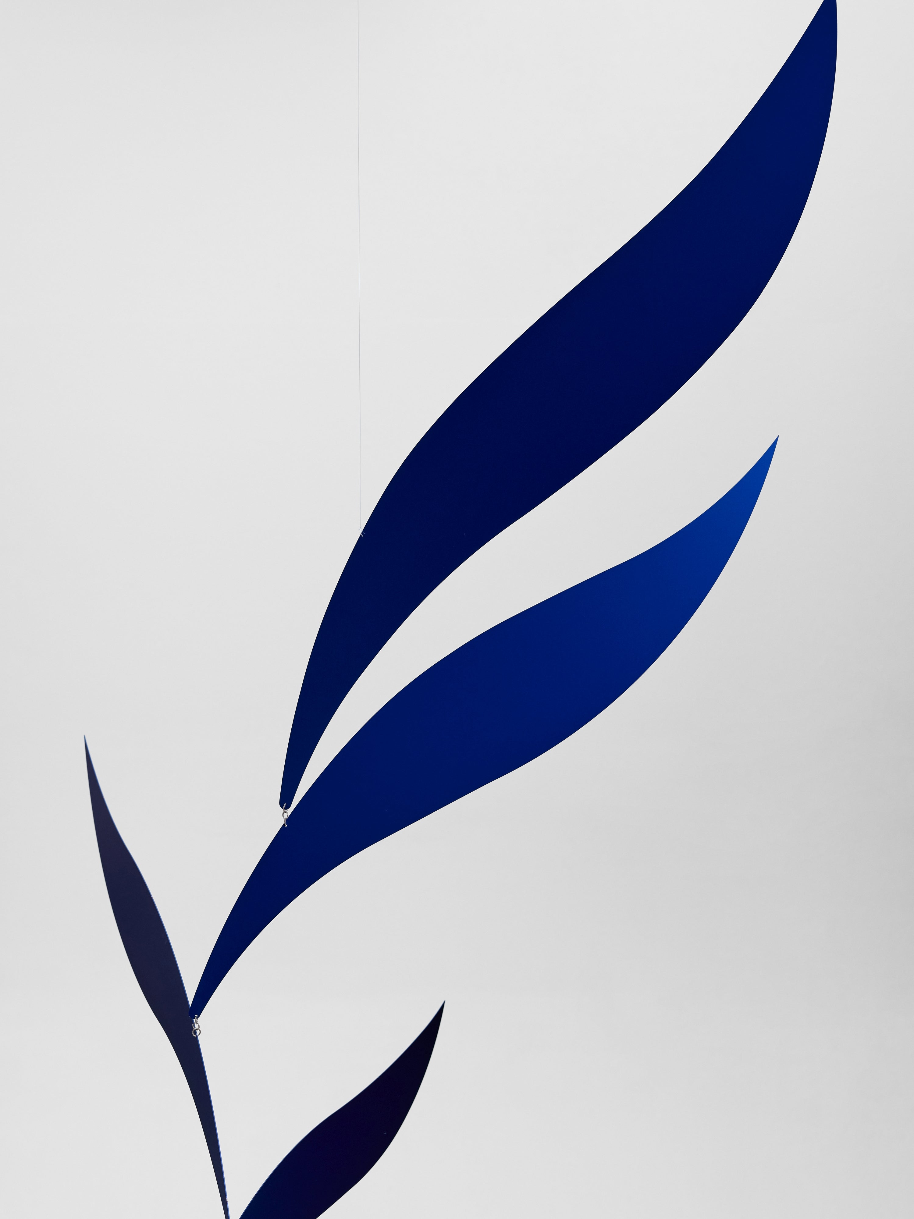 Blue Rhythm | Size XL