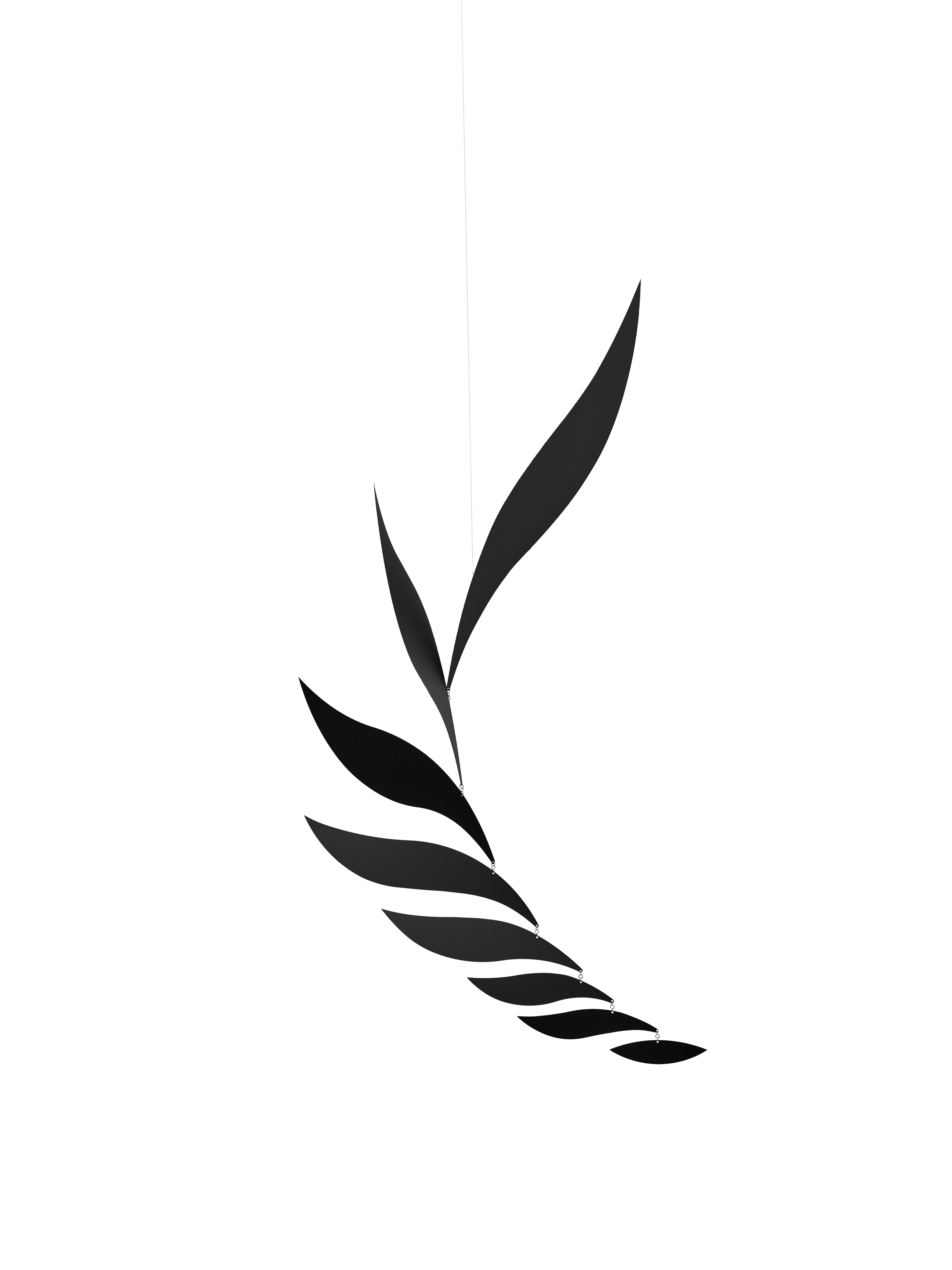 Black Rhythm | Size M