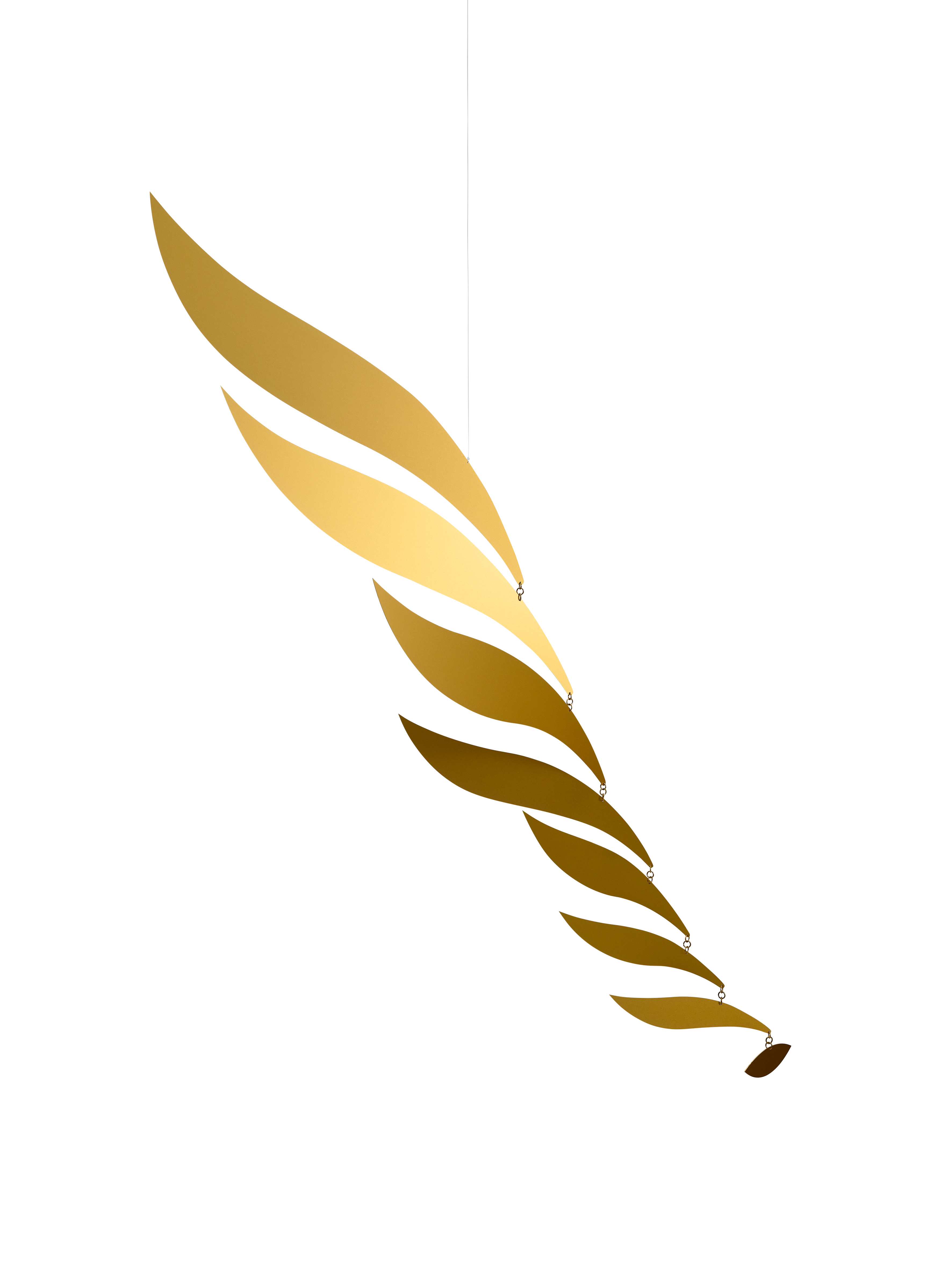 Golden Rhythm | Size L