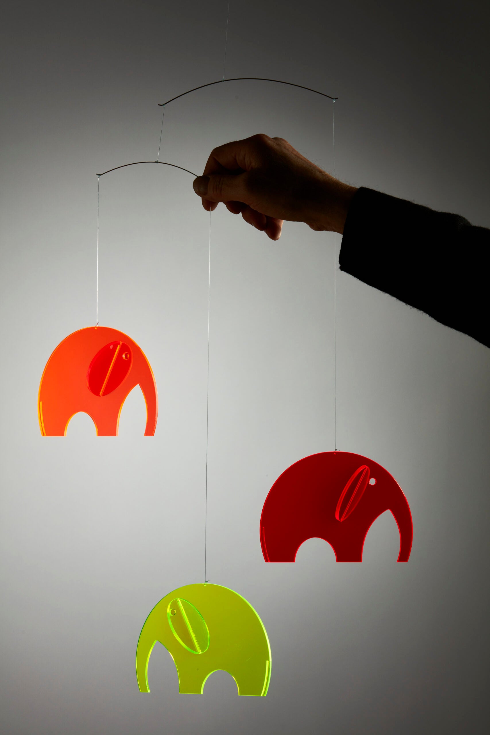 Olephants | Plexi