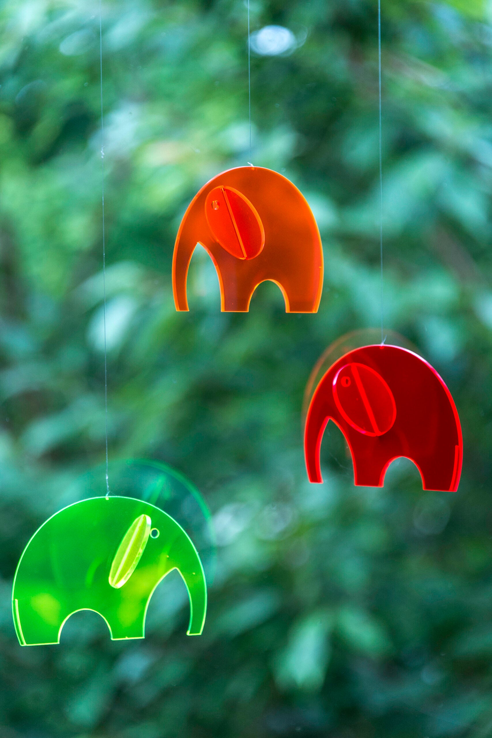 Olephants | Plexi