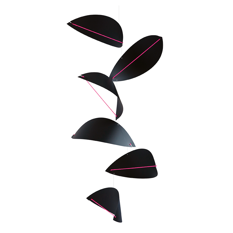 Kites | Black