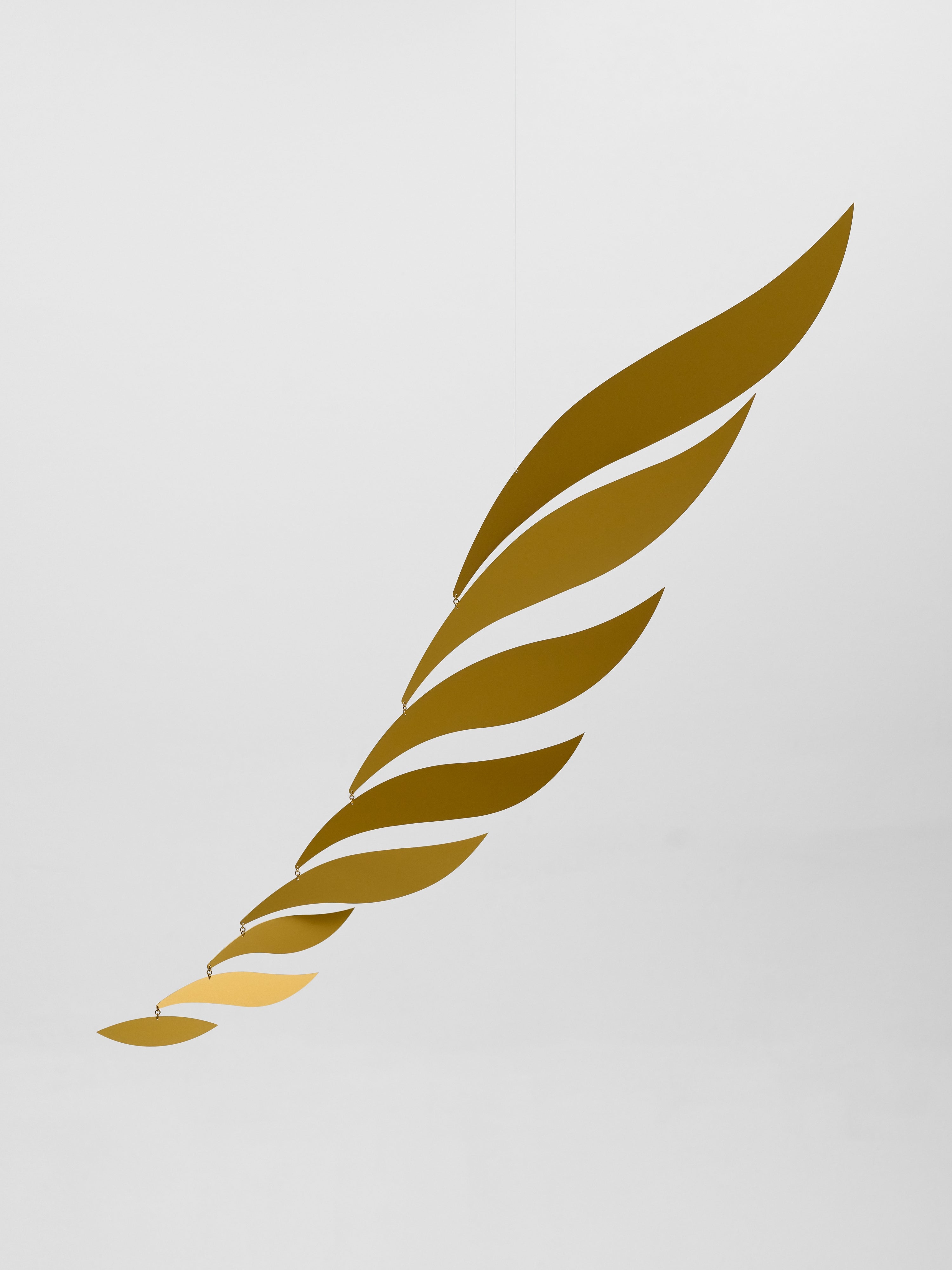 Golden Rhythm | Size M