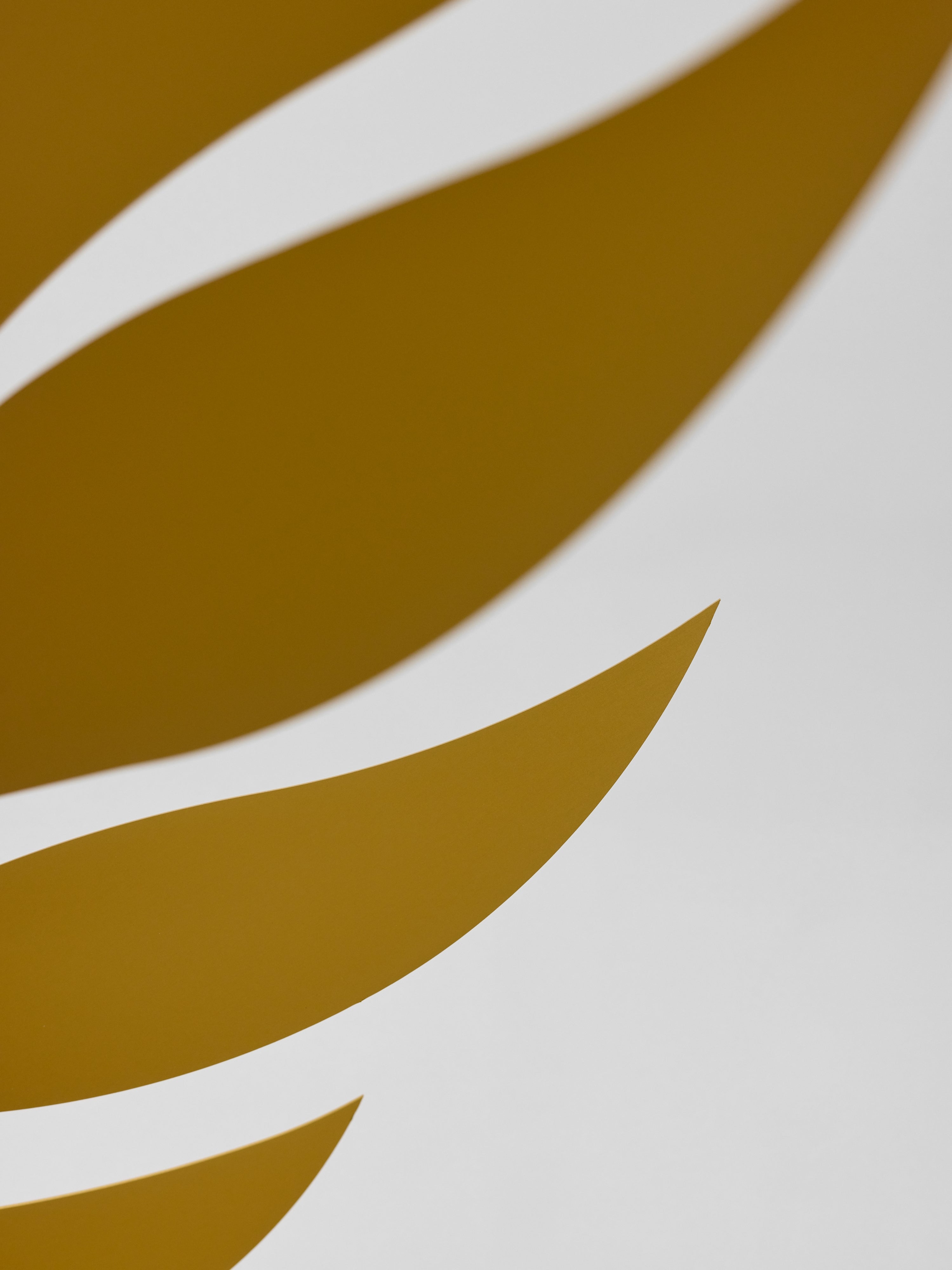 Golden Rhythm | Size M