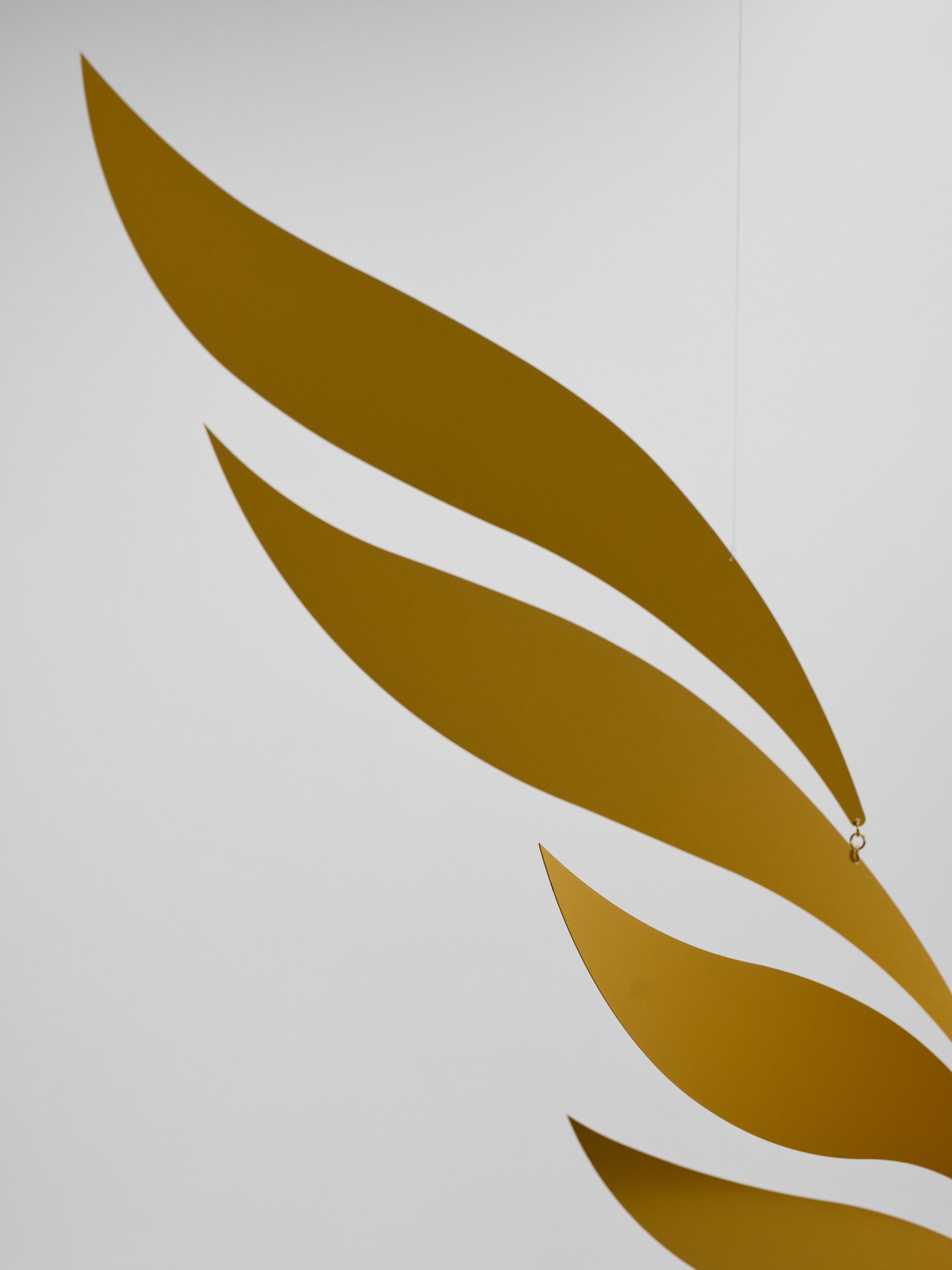 Golden Rhythm | Size L