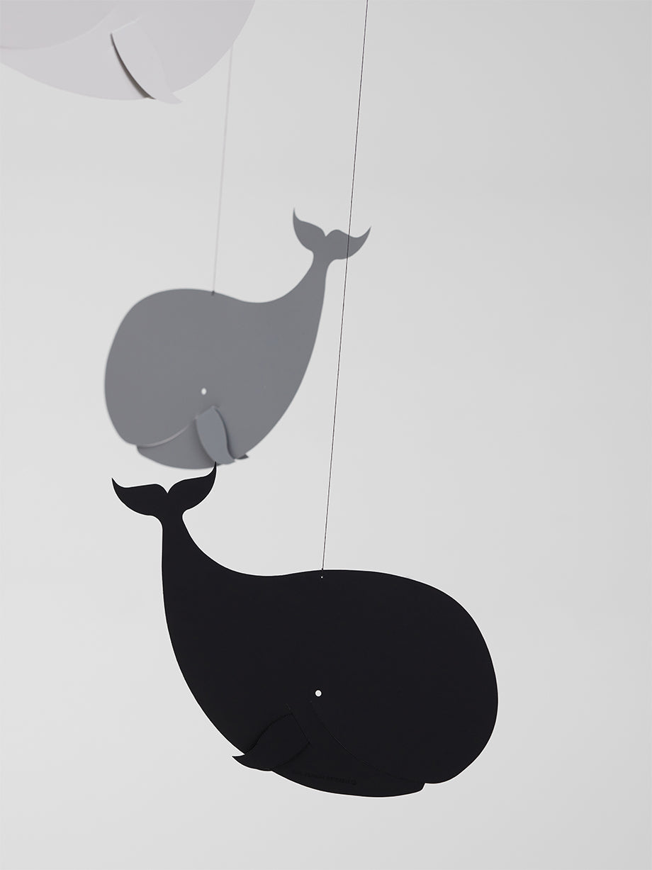 Happy Whales | Greyscale