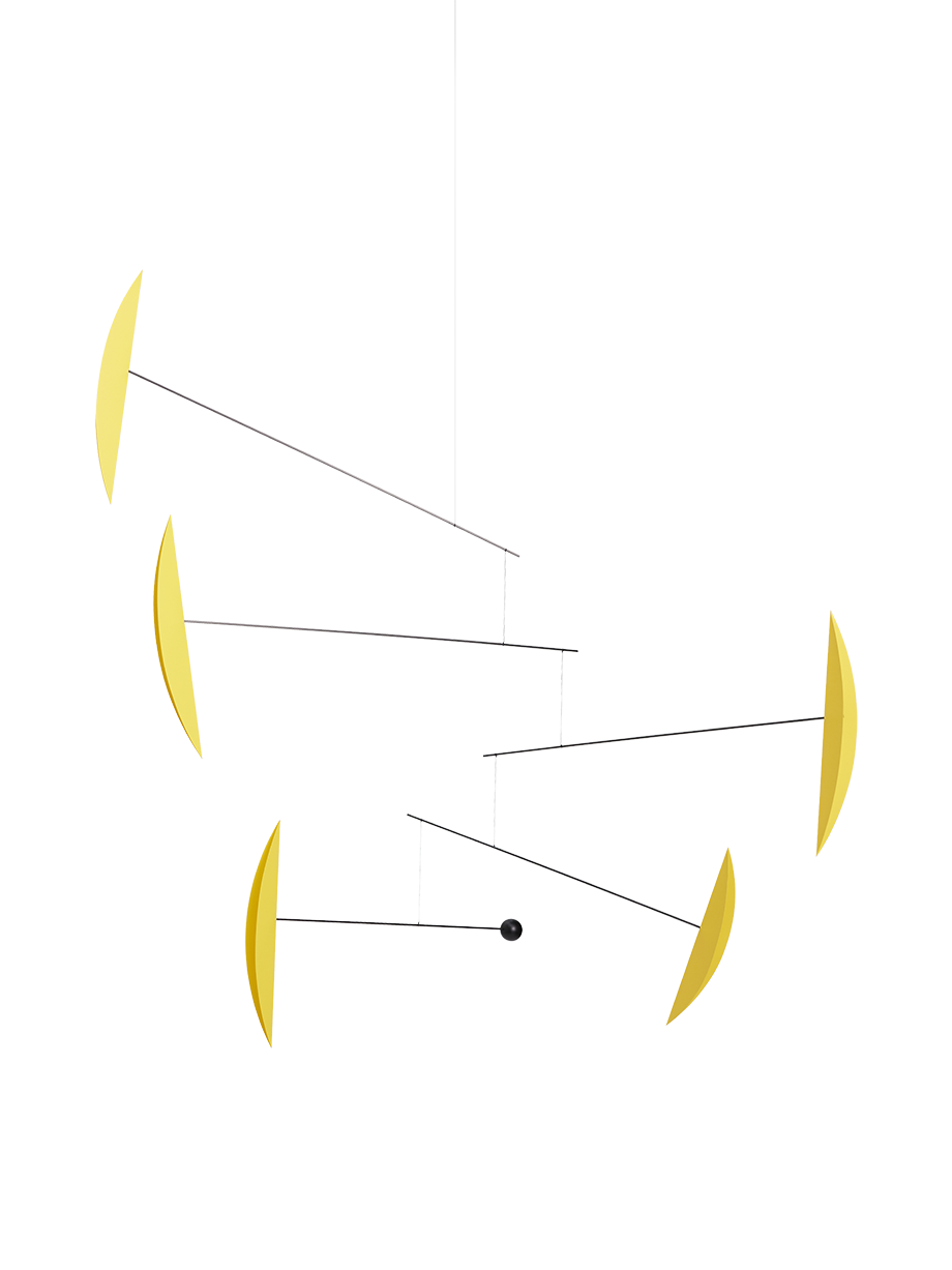 Tango | Yellow | Size L.