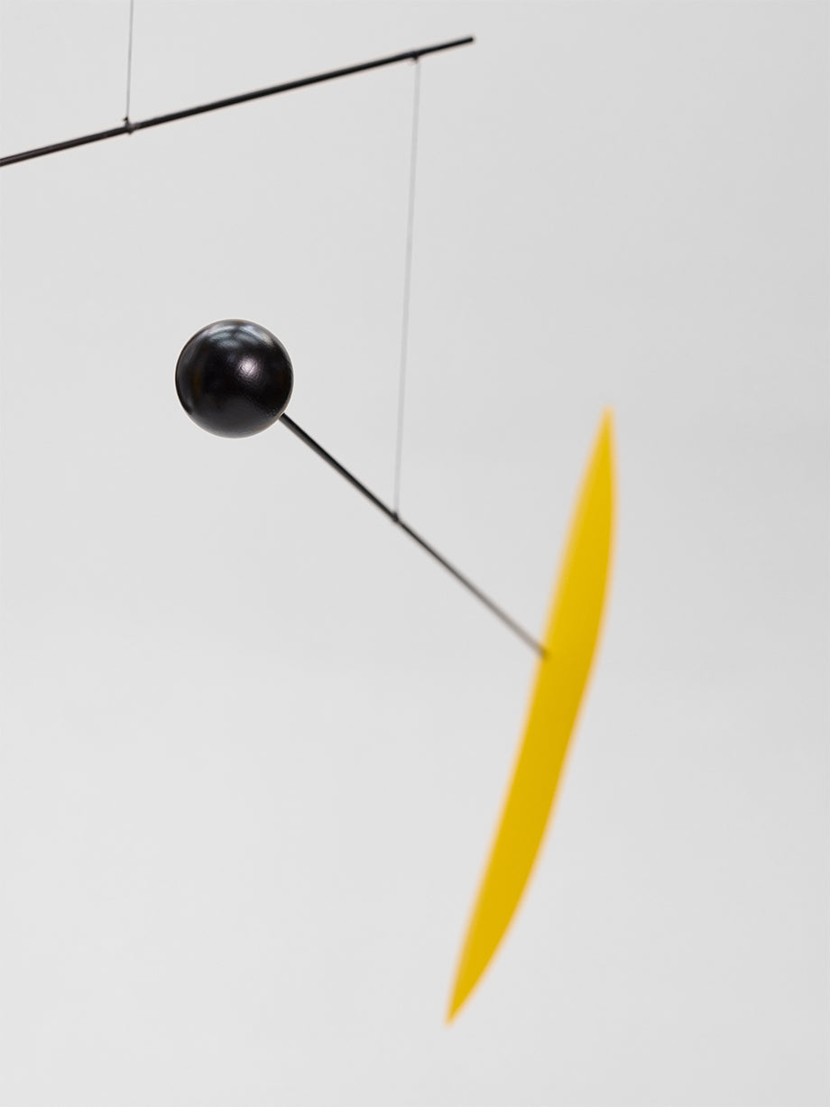 Tango | Yellow | Size L.