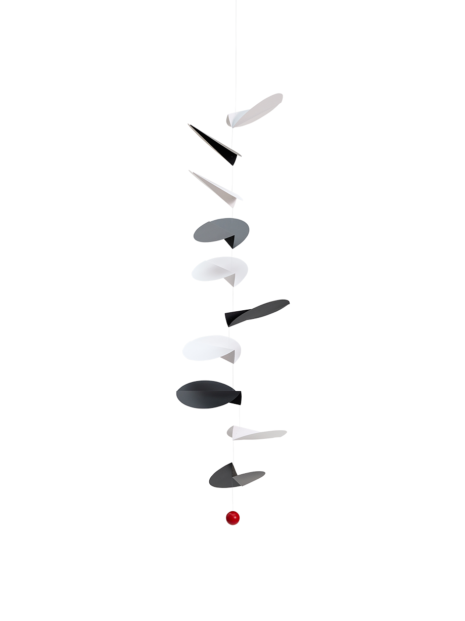 Turning Leaves | Black & White.