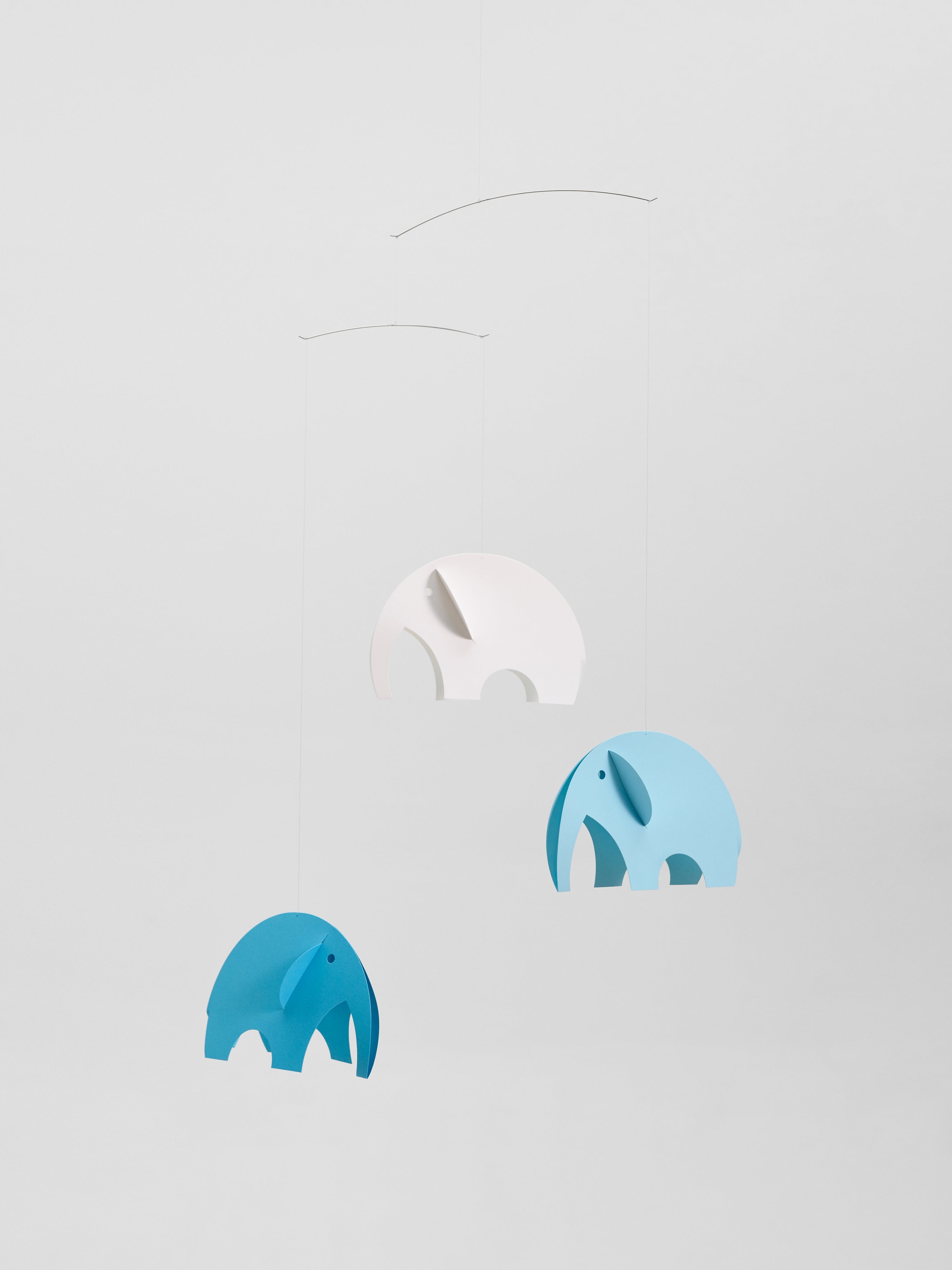 Olephants | Blue