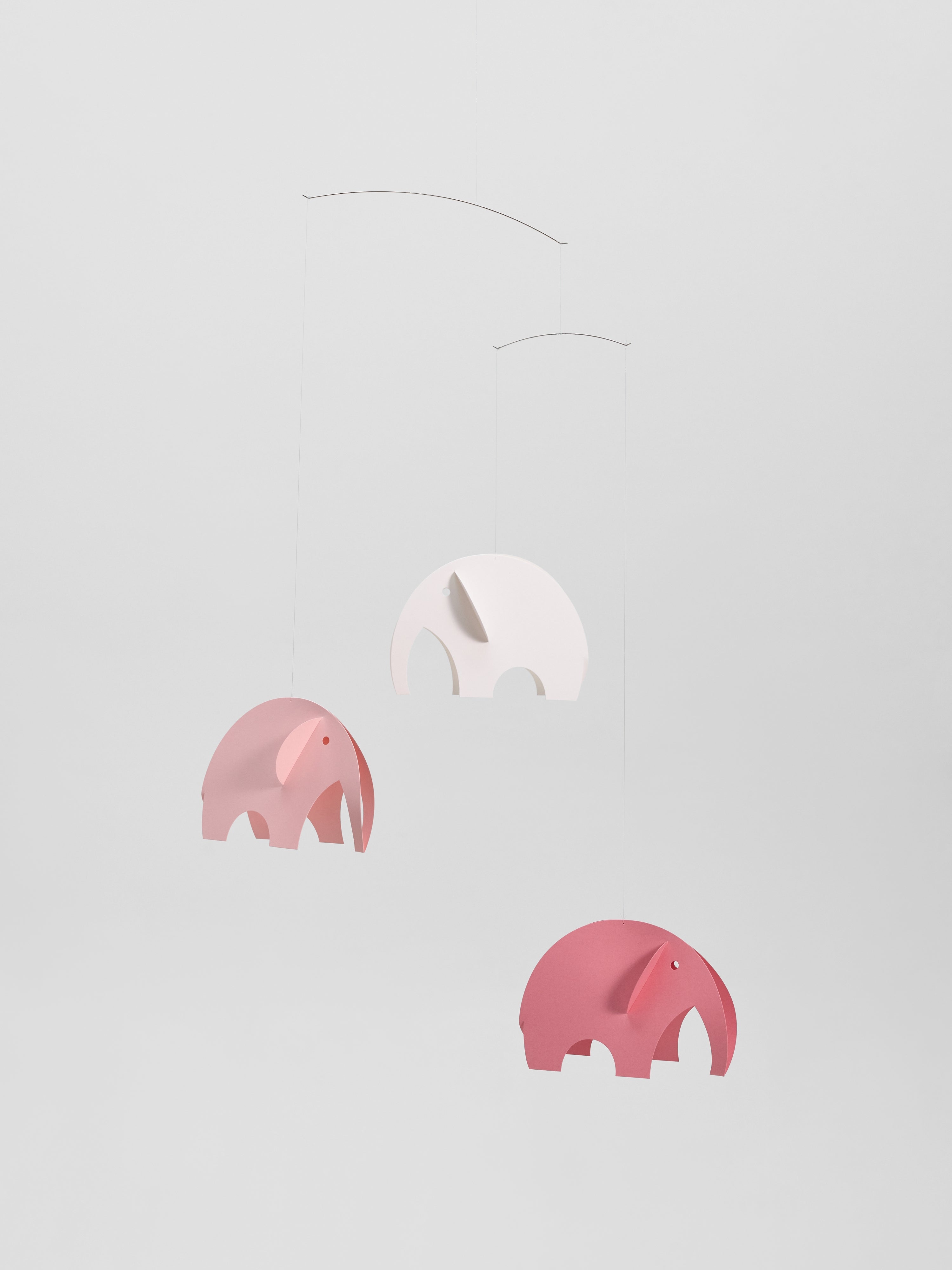 Olephants | Pink