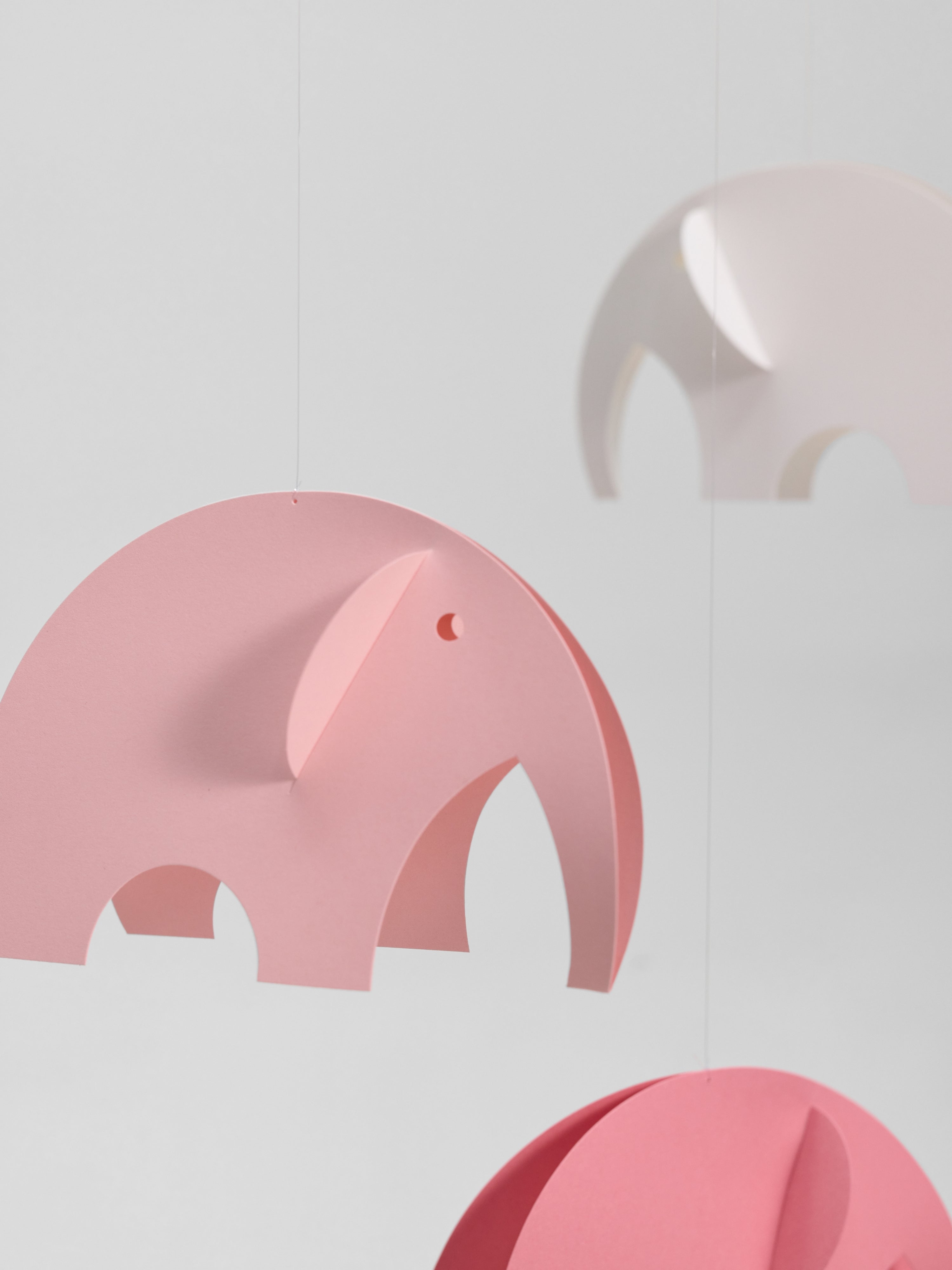 Olephants | Pink