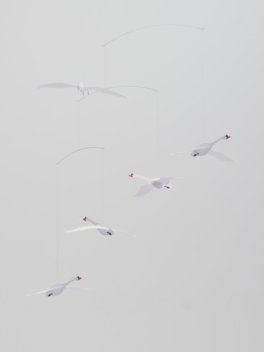 d8961365bd994e96a3ee265c0595ee